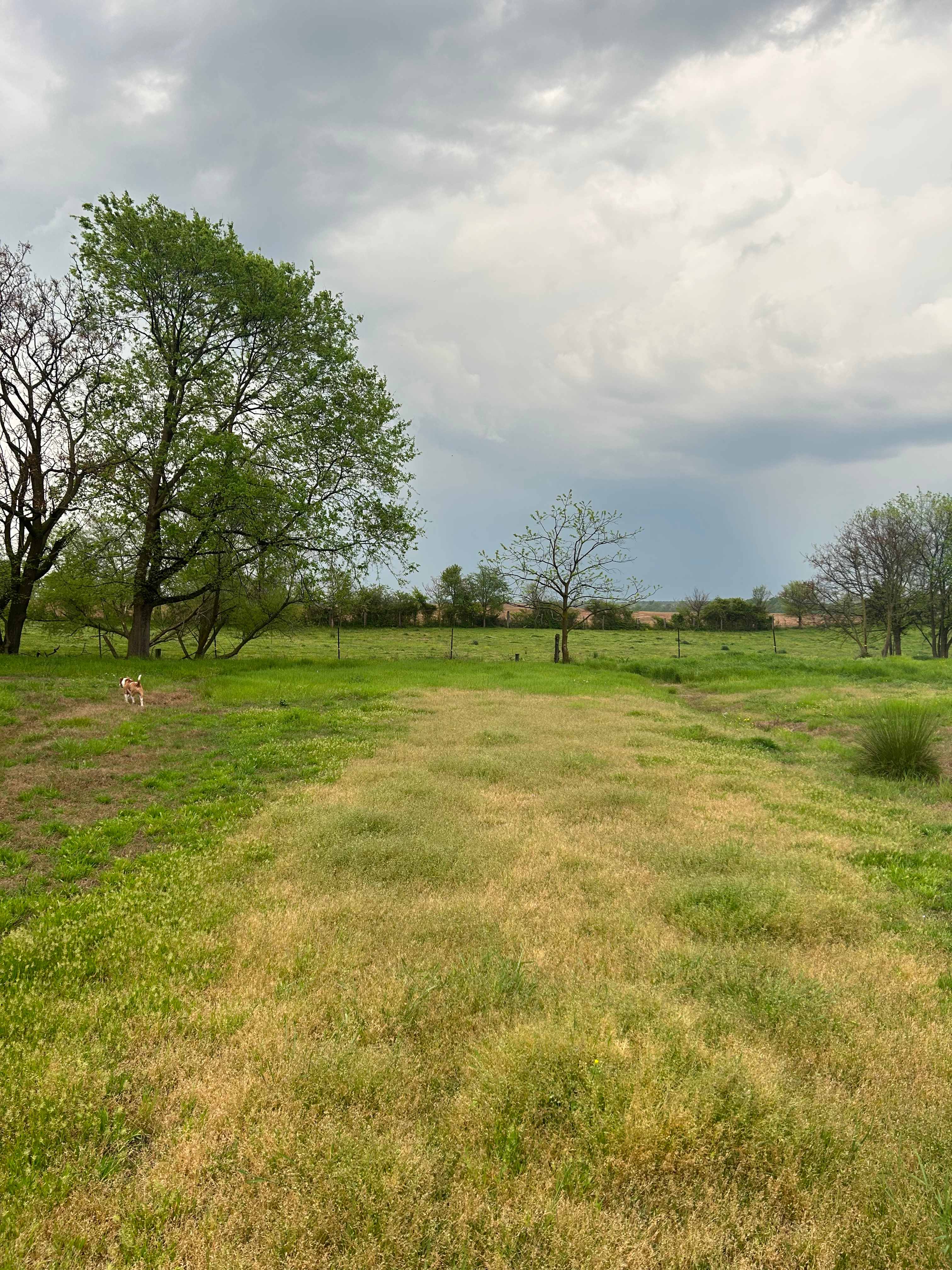 Appleton Farm