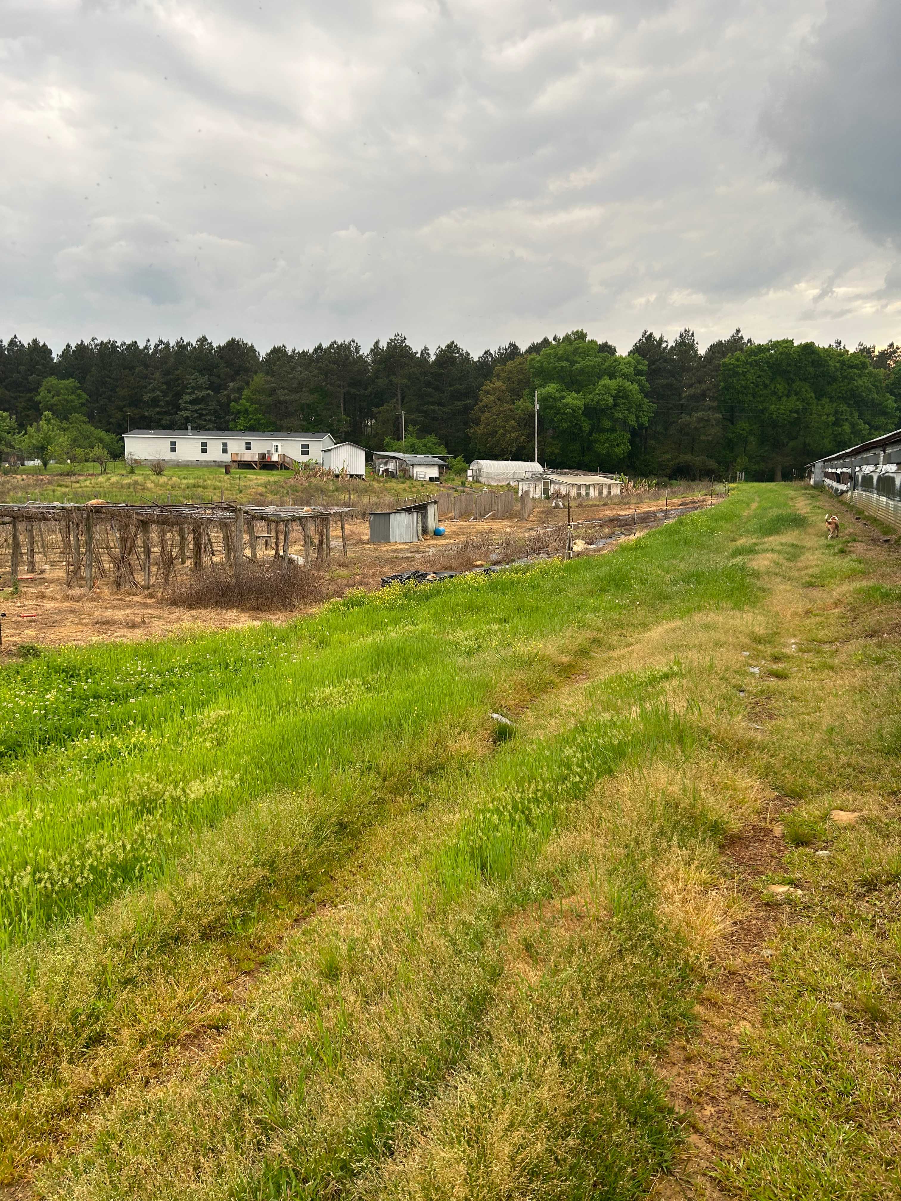 Appleton Farm