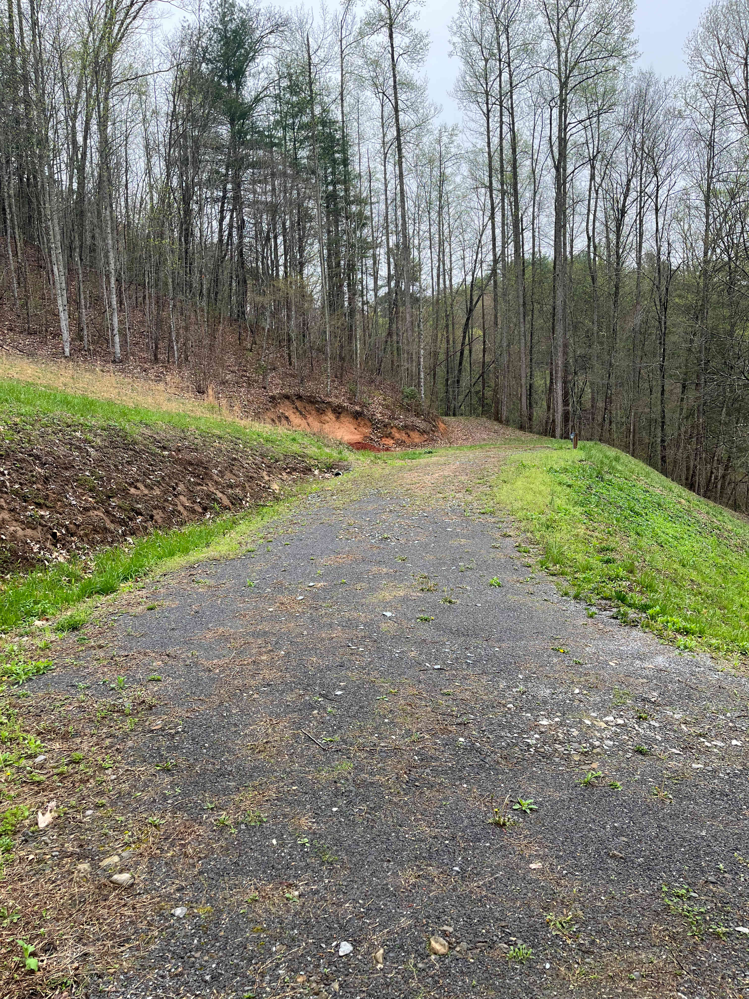 The Cove at Dick Branch