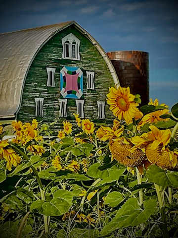 About Tyme Farm