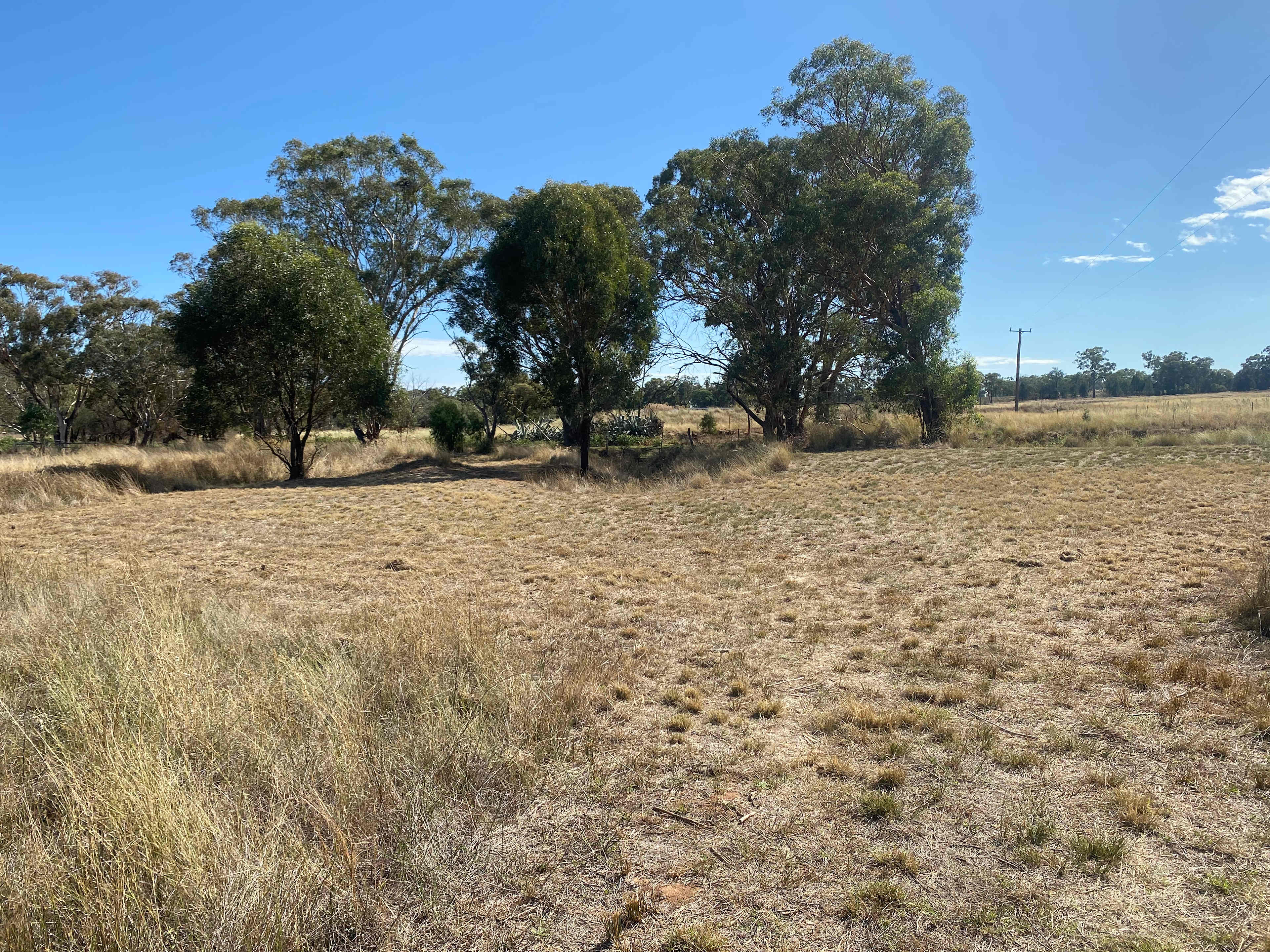 Site 4