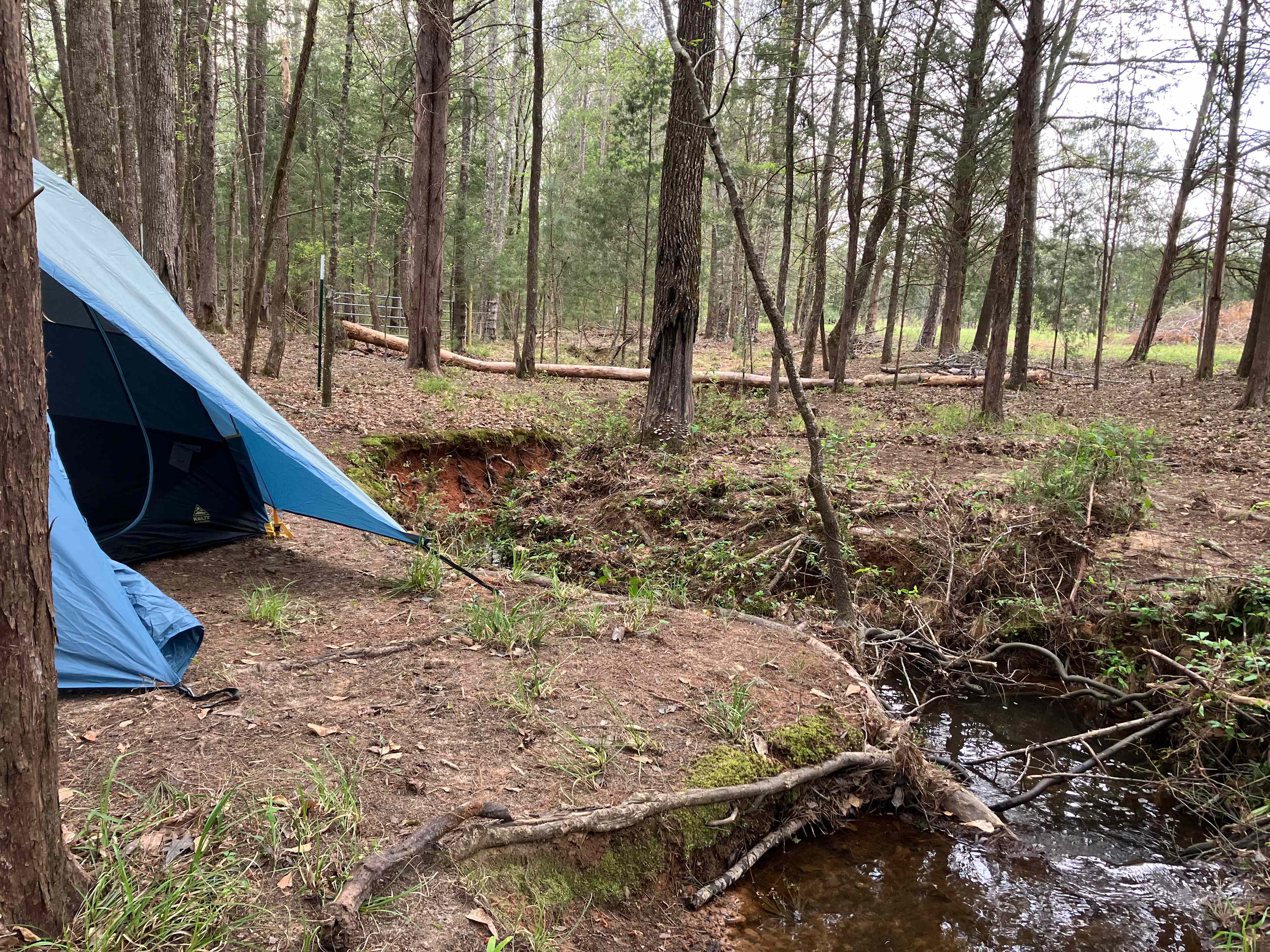 Camp in Camp Hill!