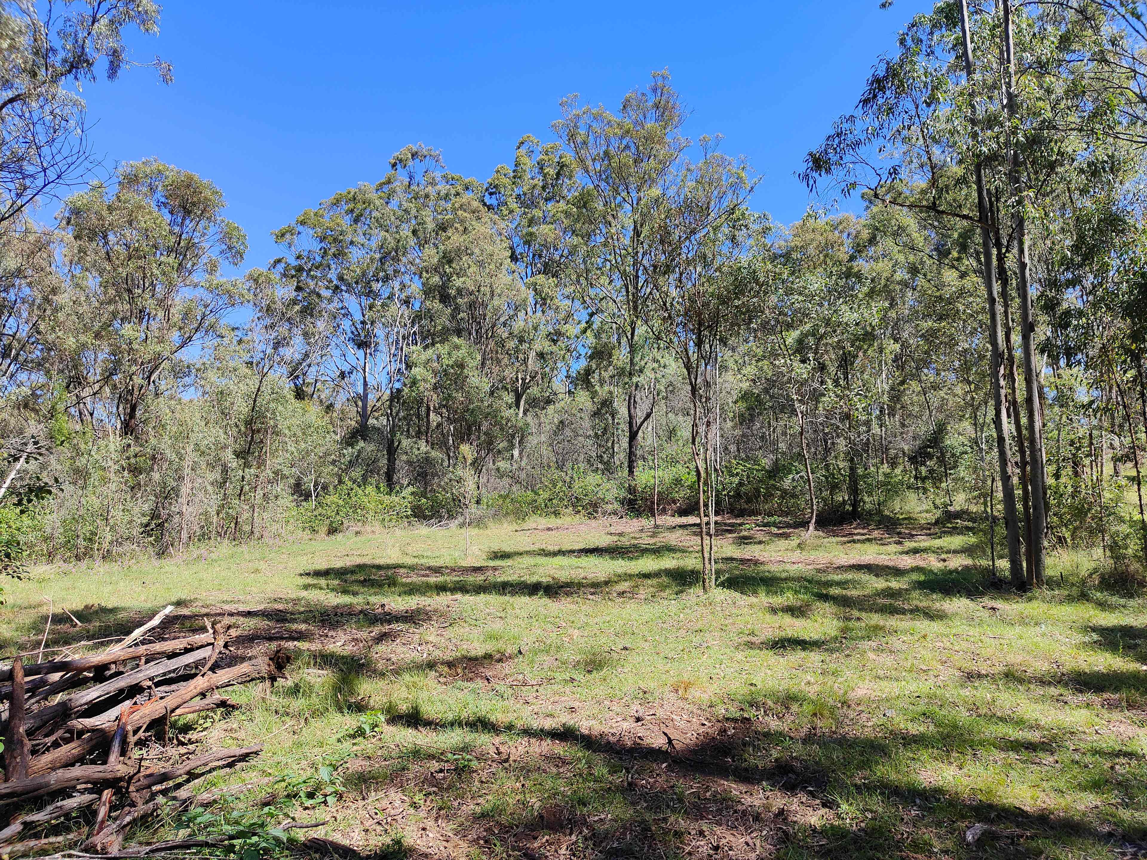 Hunter Downs