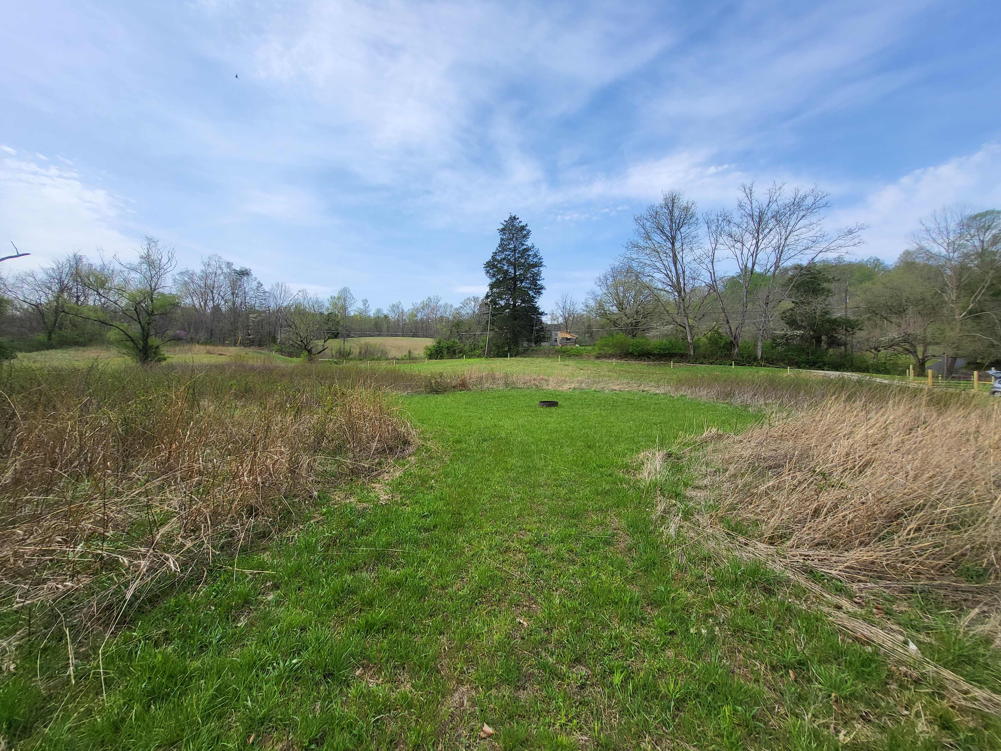 Low Meadow Farms
