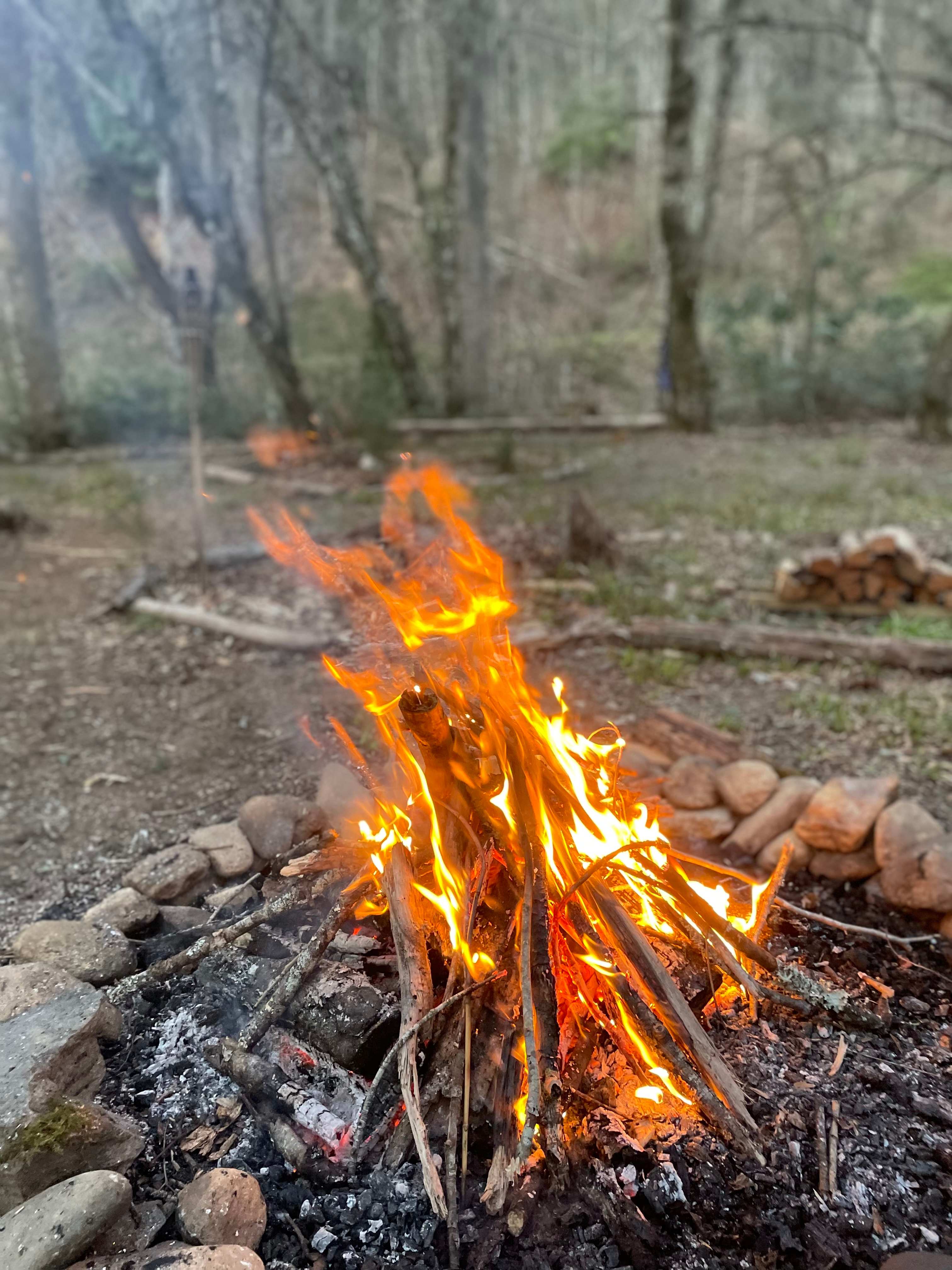Coyote Valley Art Farm: Otto, NC