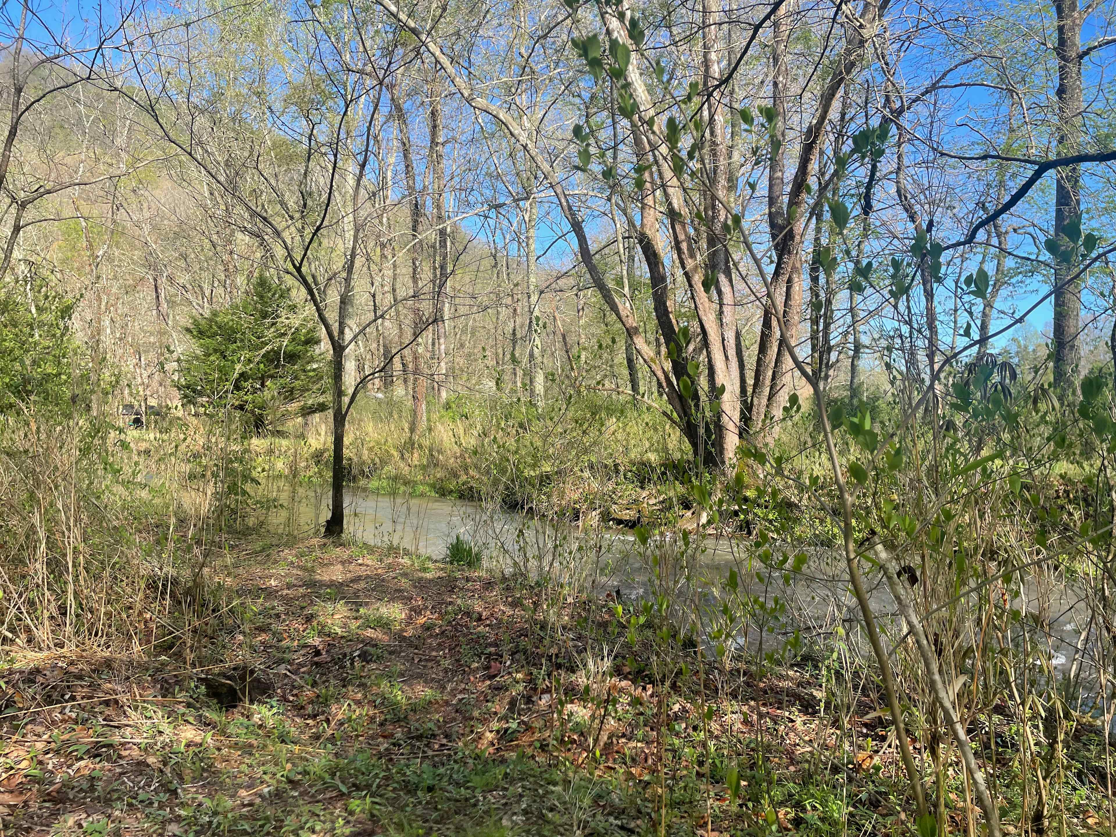 Coyote Valley Art Farm: Otto, NC