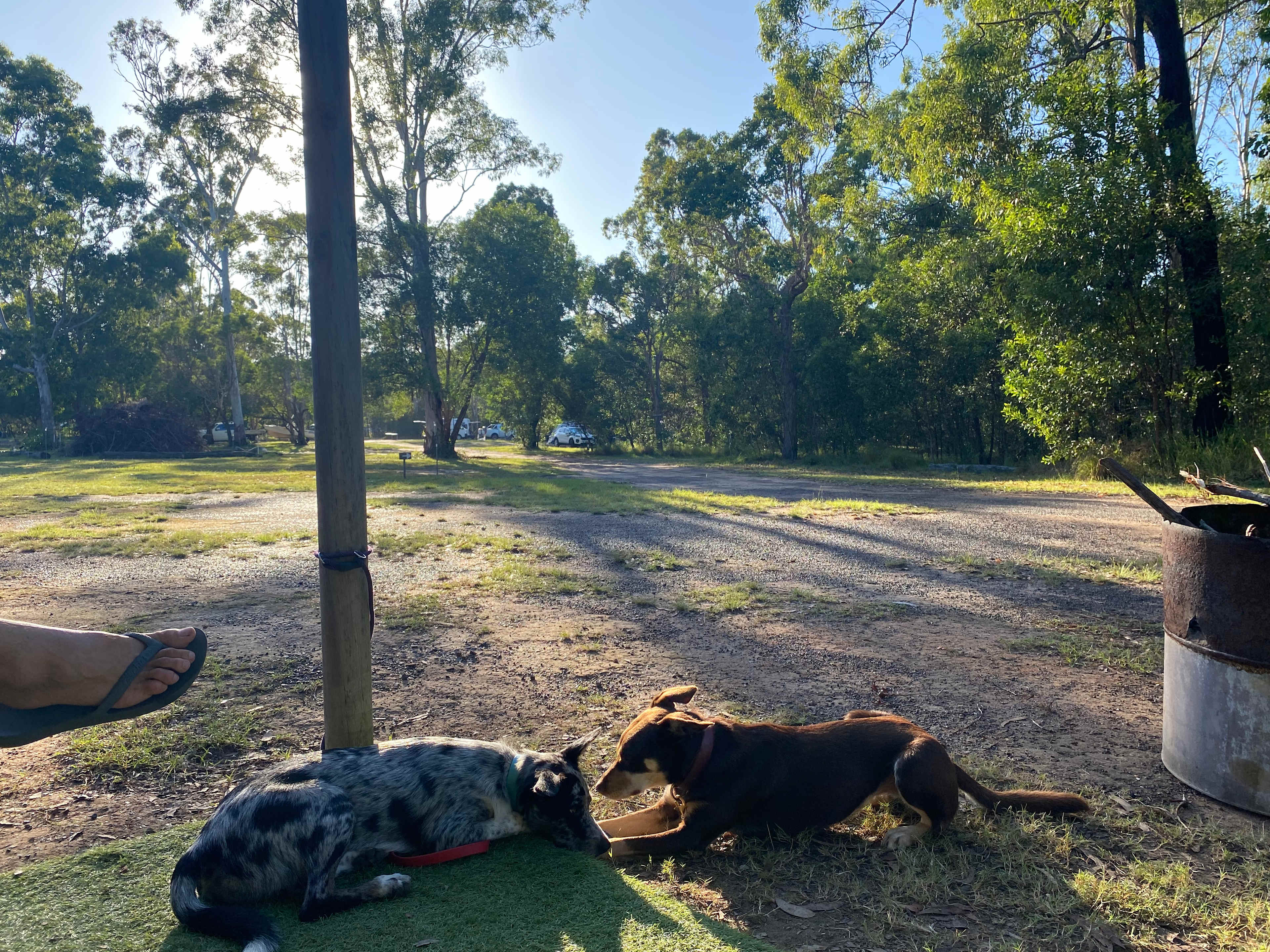Fraser Coast RV Park at River Heads