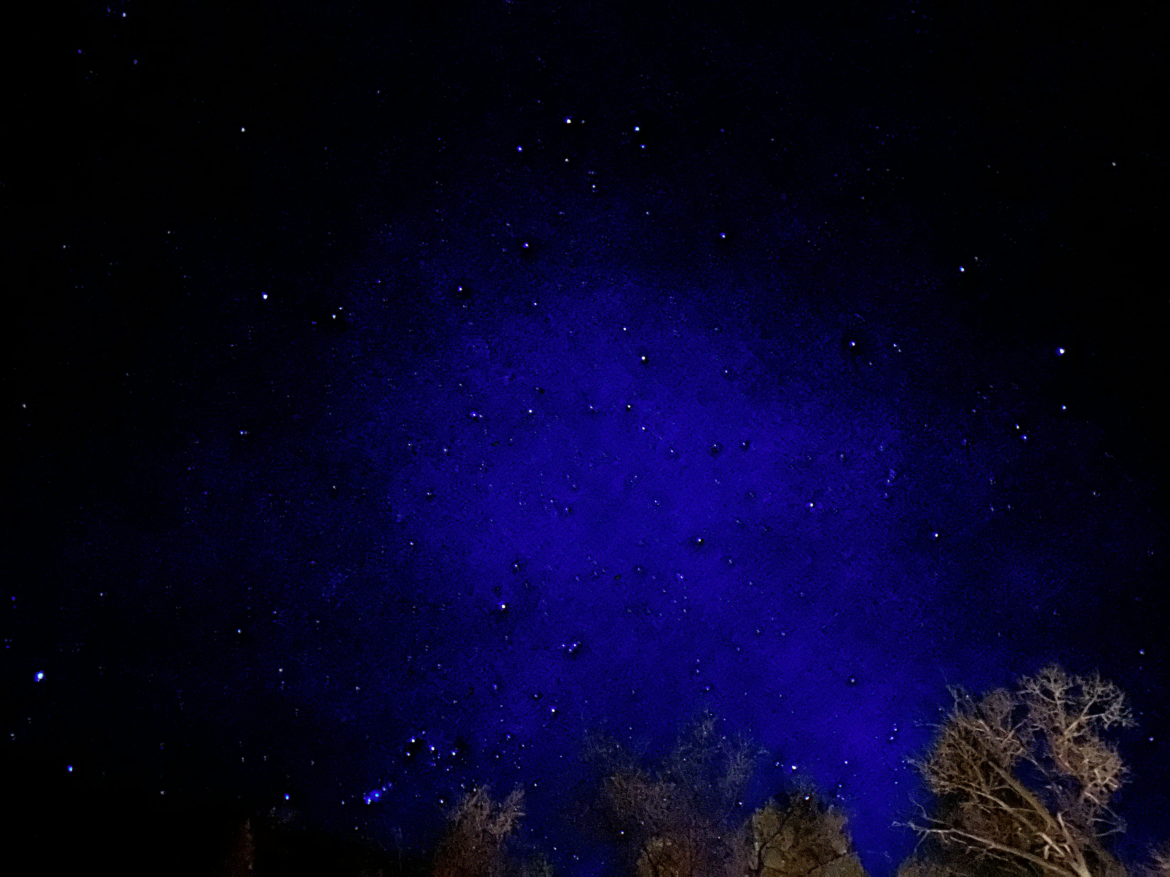Field Trip NM