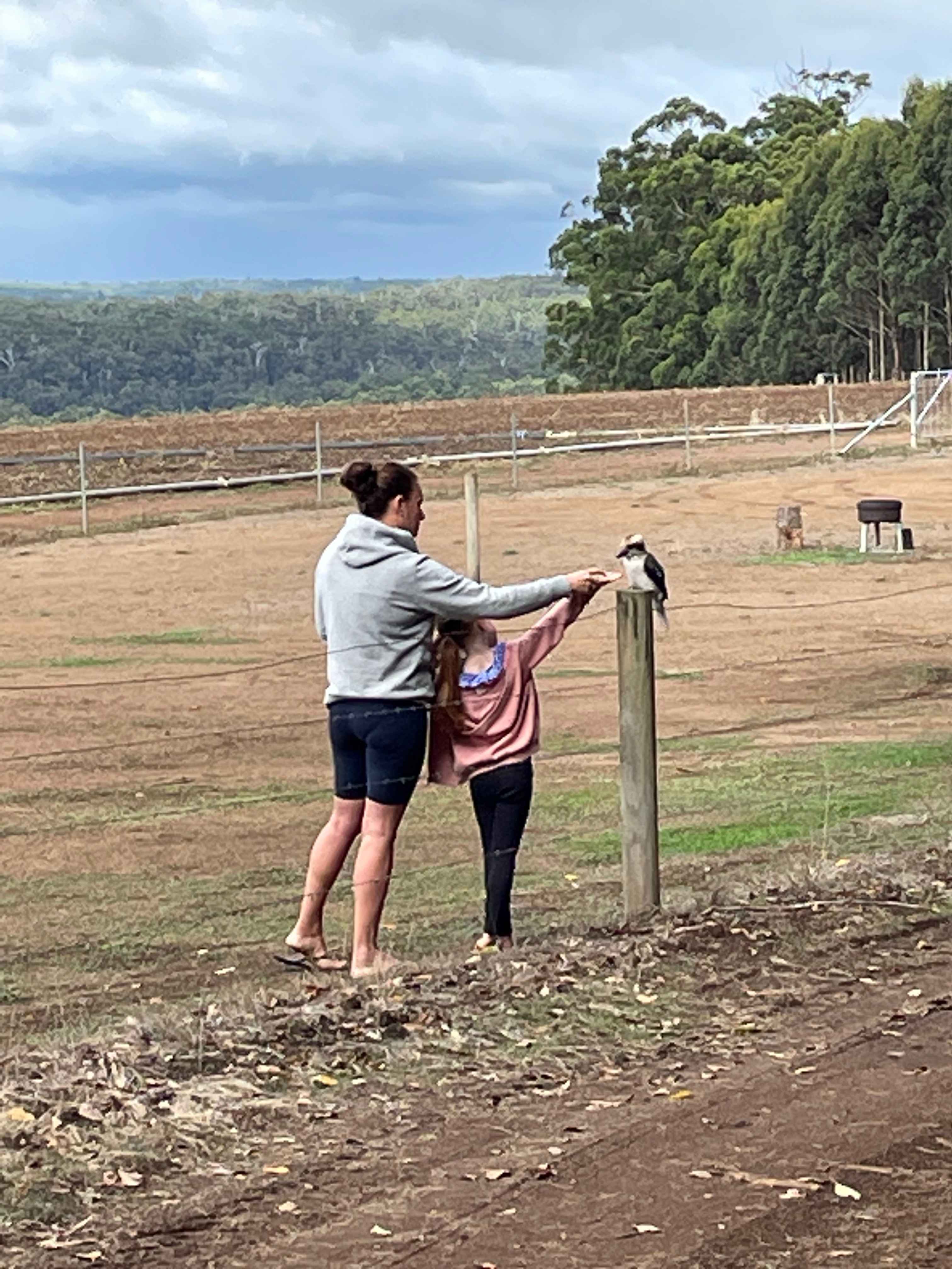 Fernbrook Farm Stay