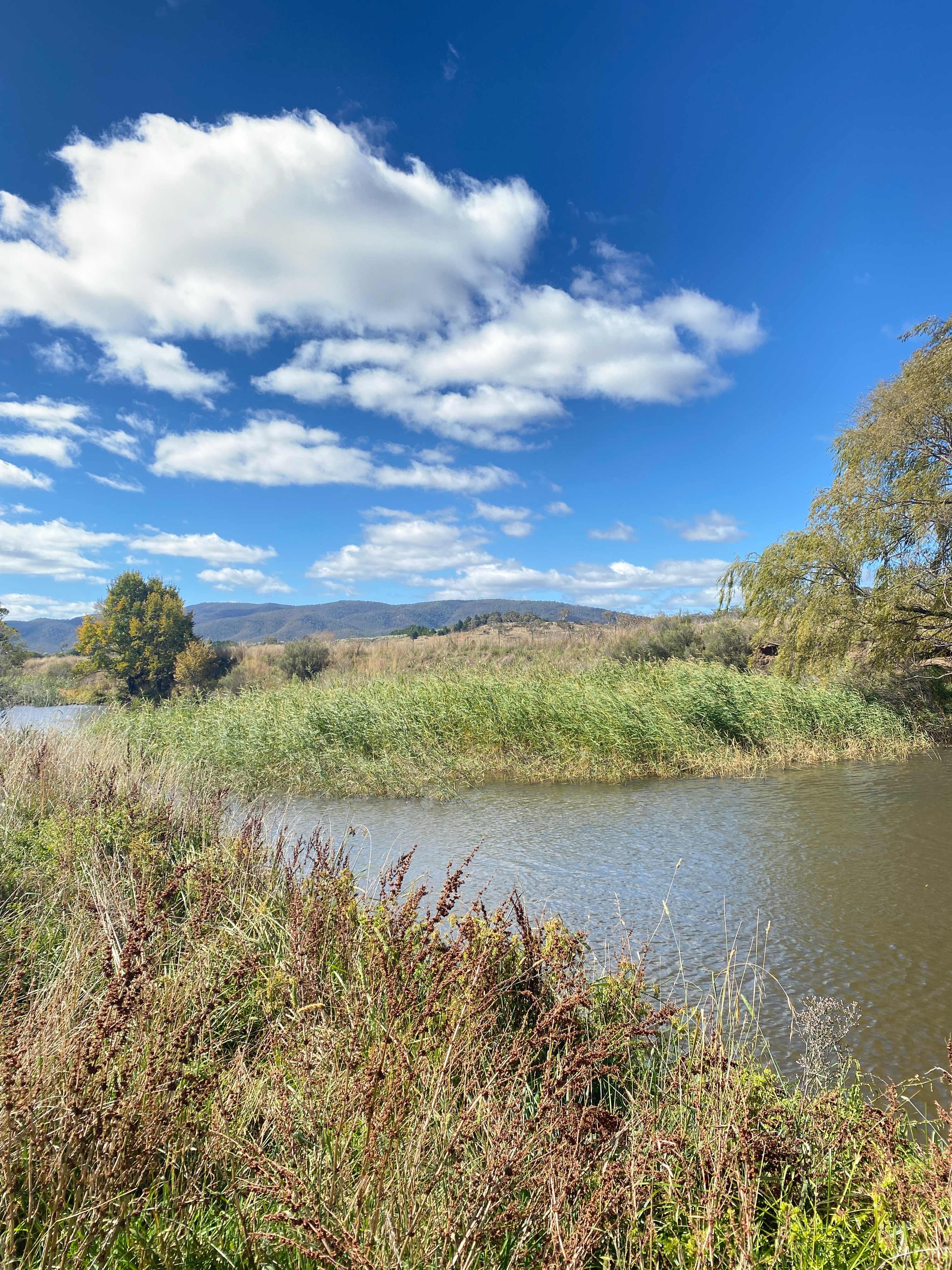 The nearby river 