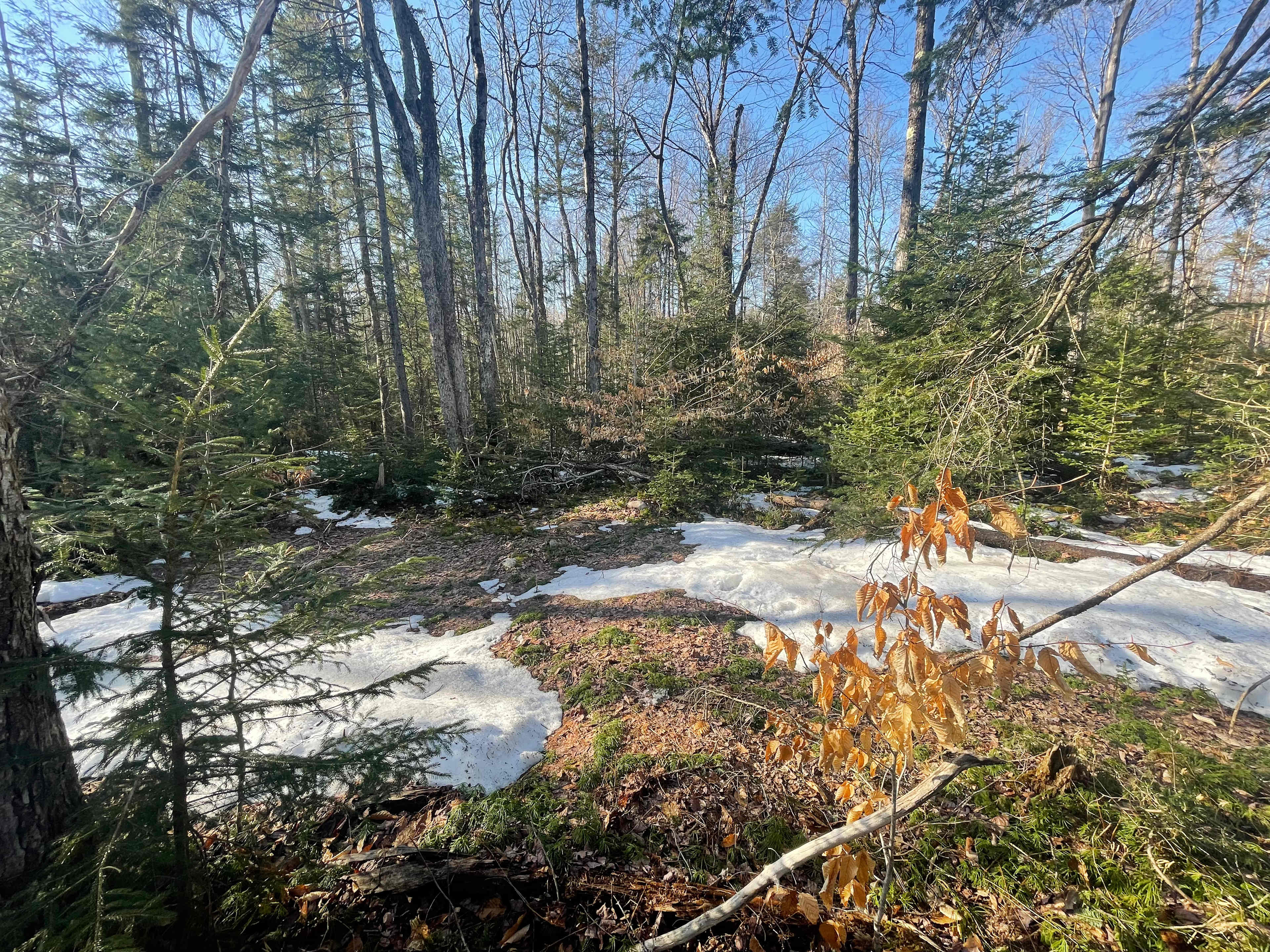 Fire pit and picnic table and tiki torches when the snow melts 