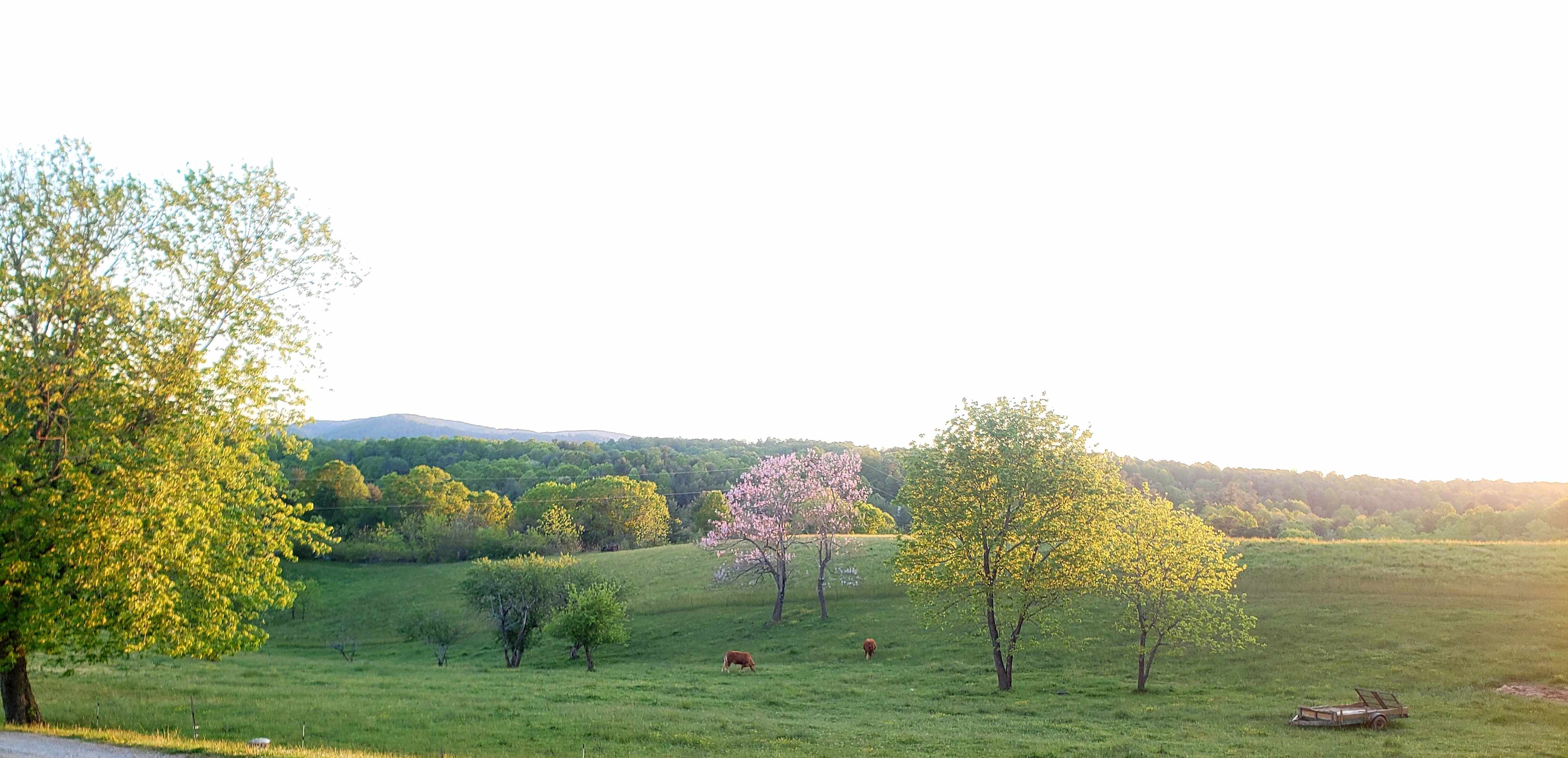 Mountain View Acres