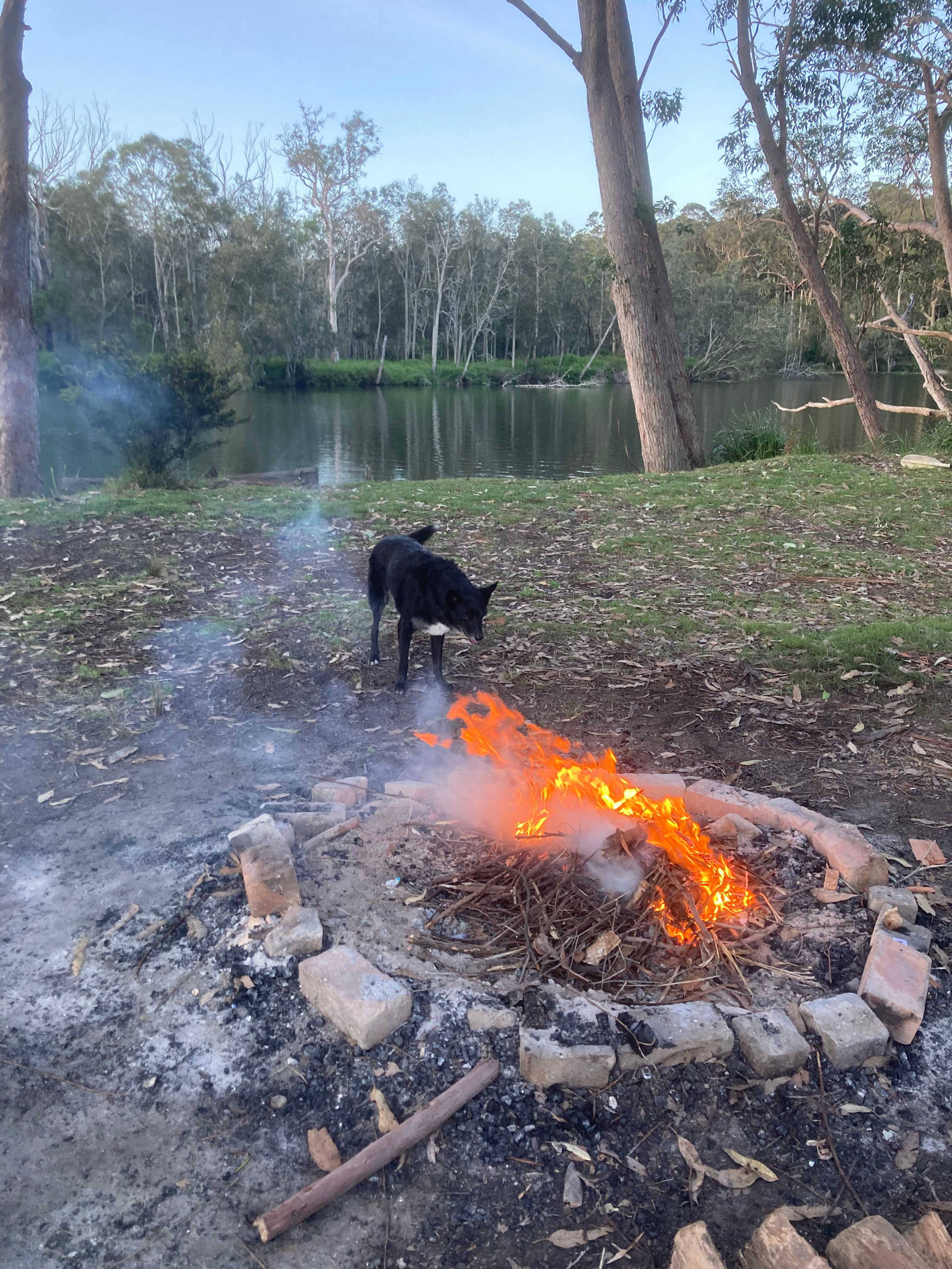 Fire Pit