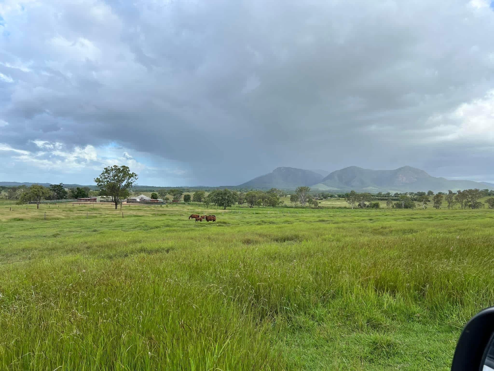 Beautiful views overlooking horse training complex & Mount Walsh. Camp site #2 