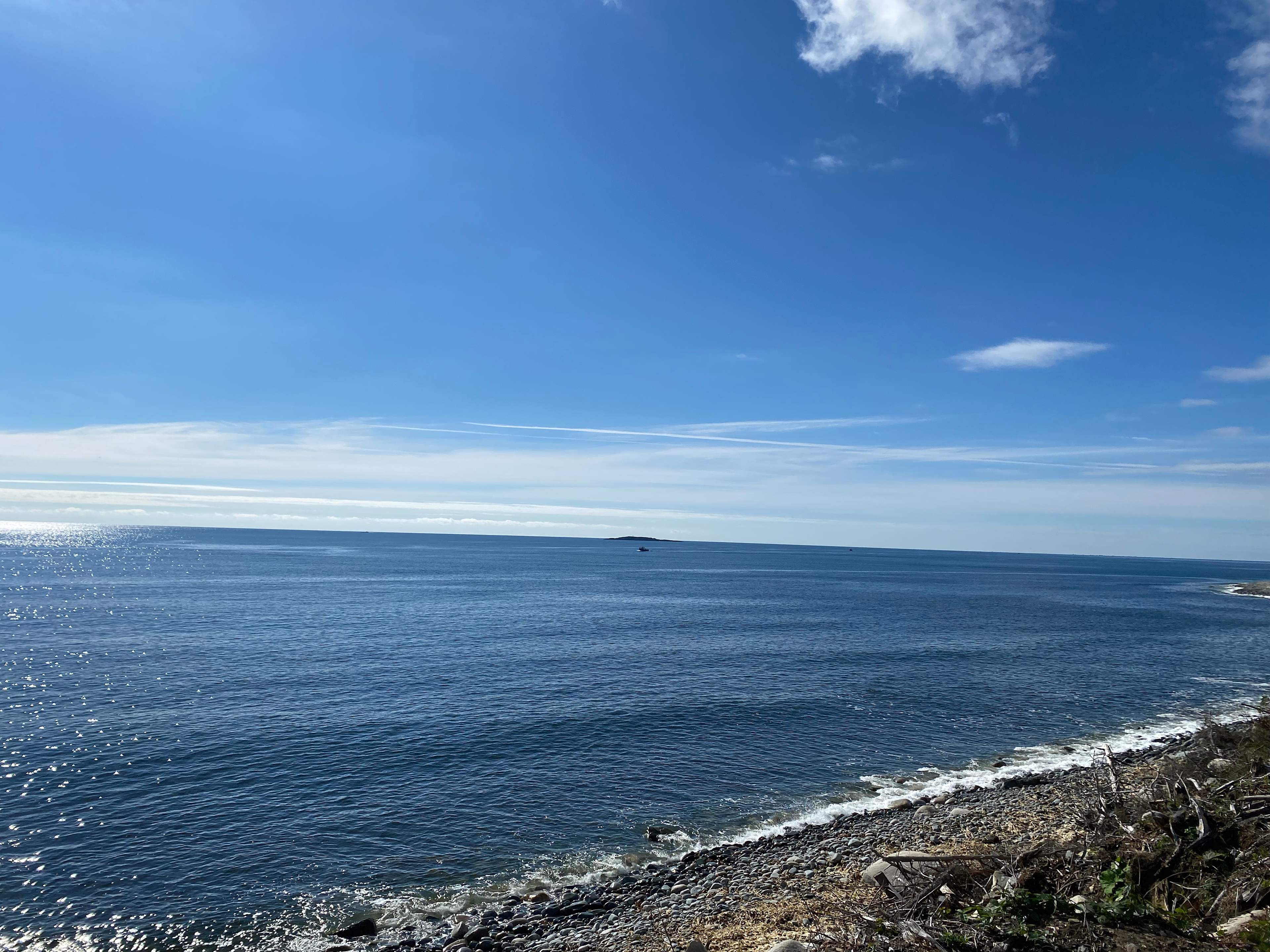 Your morning view. 