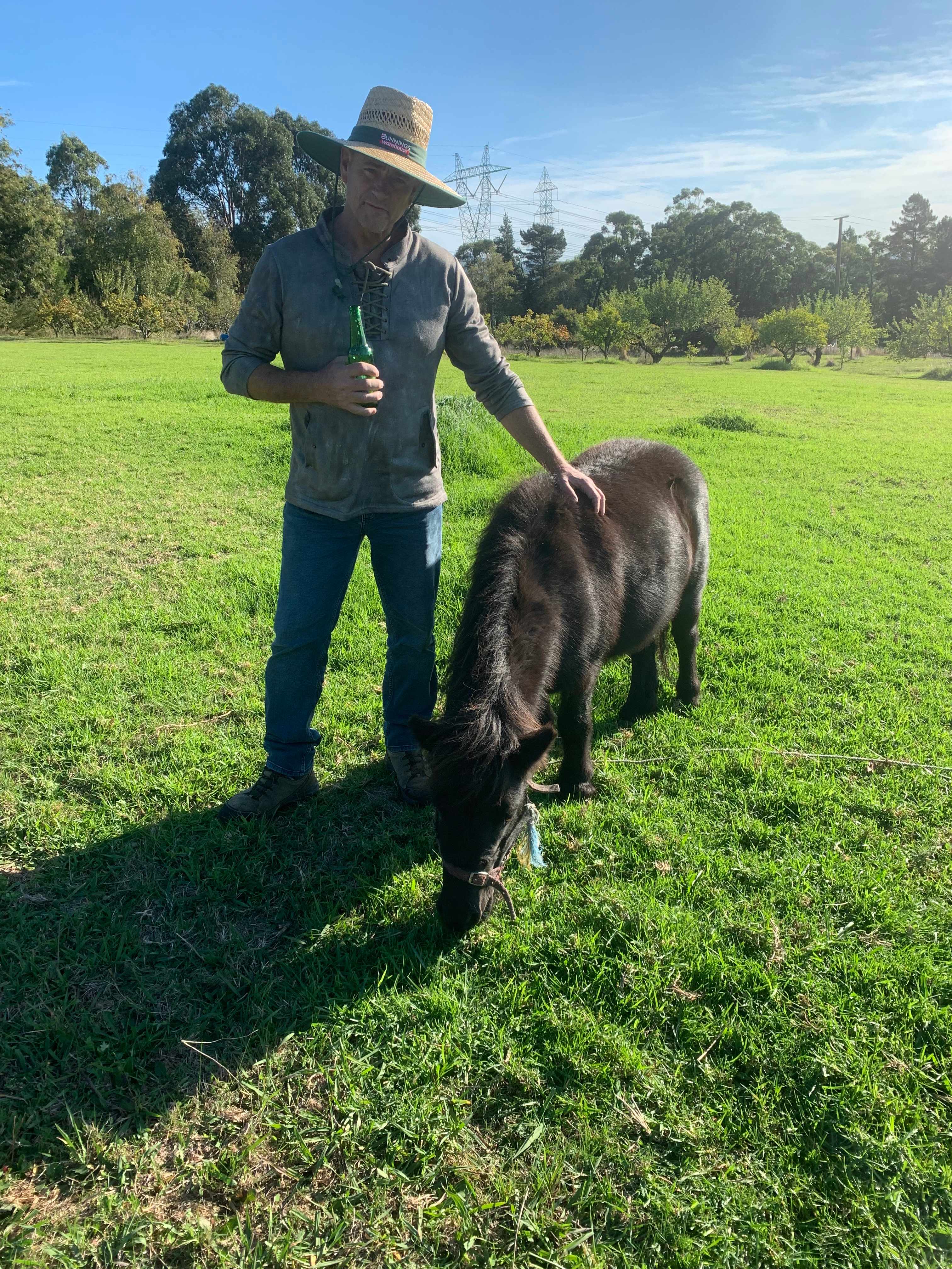 Say hi to Pony 😁