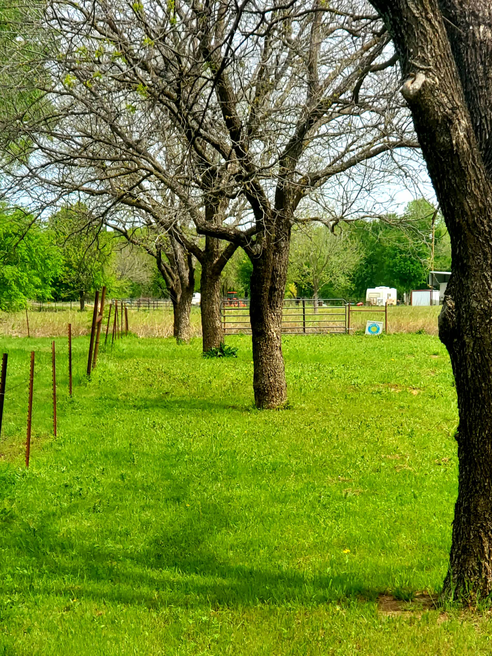 An orchard down the road