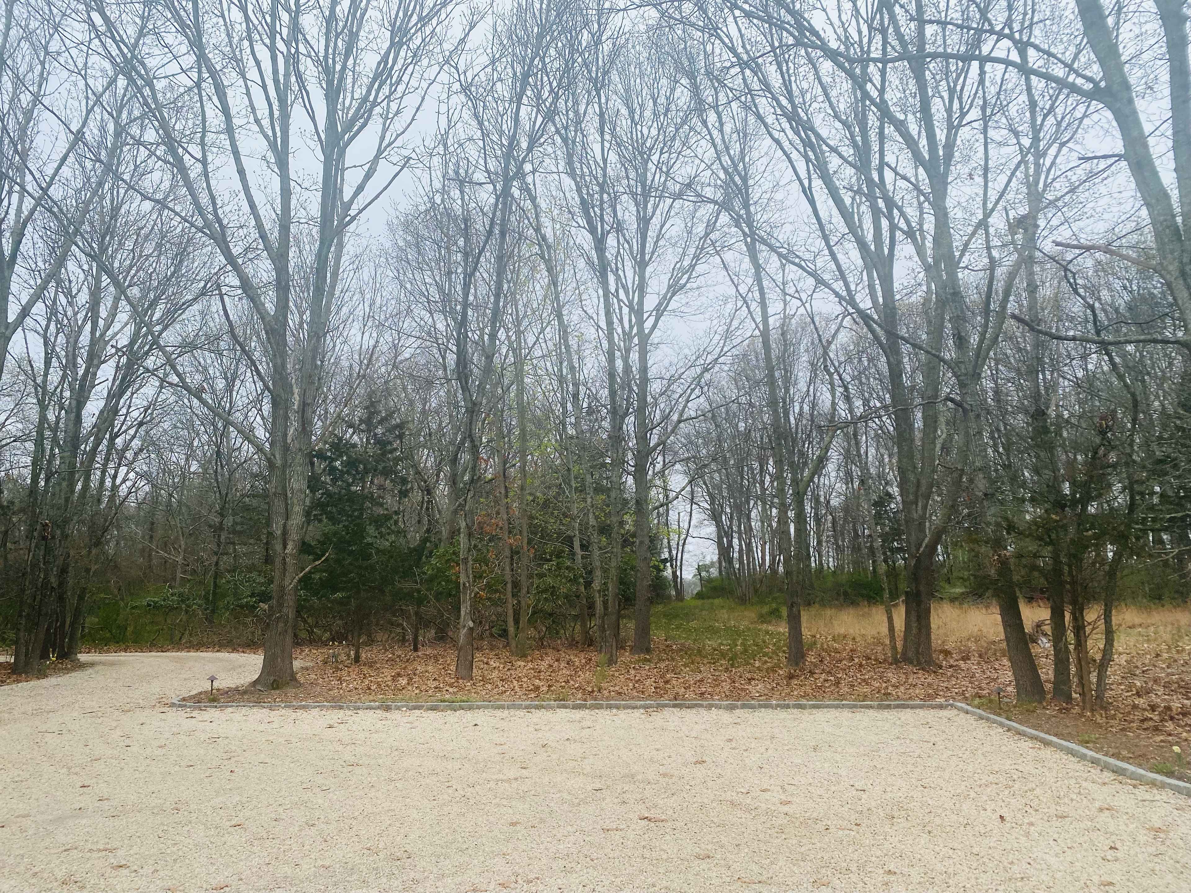 Vineyard woods