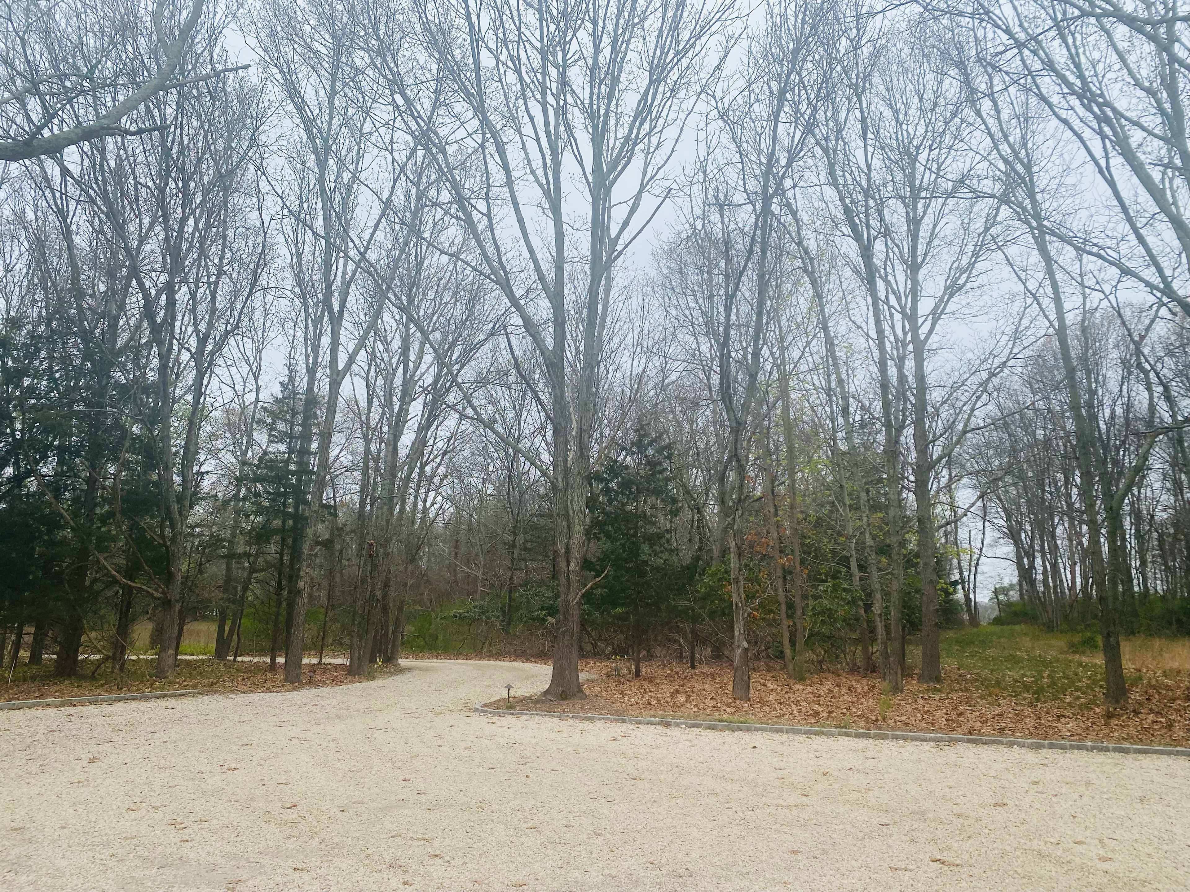 Vineyard woods