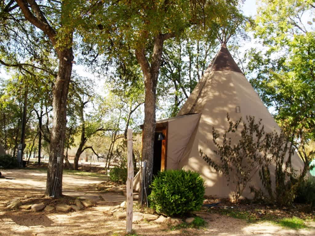 Tipi #5 - Yellow Flower