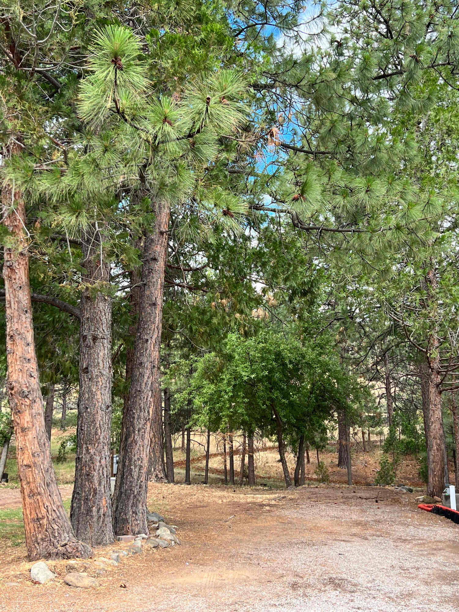 Trailer Lane Campground