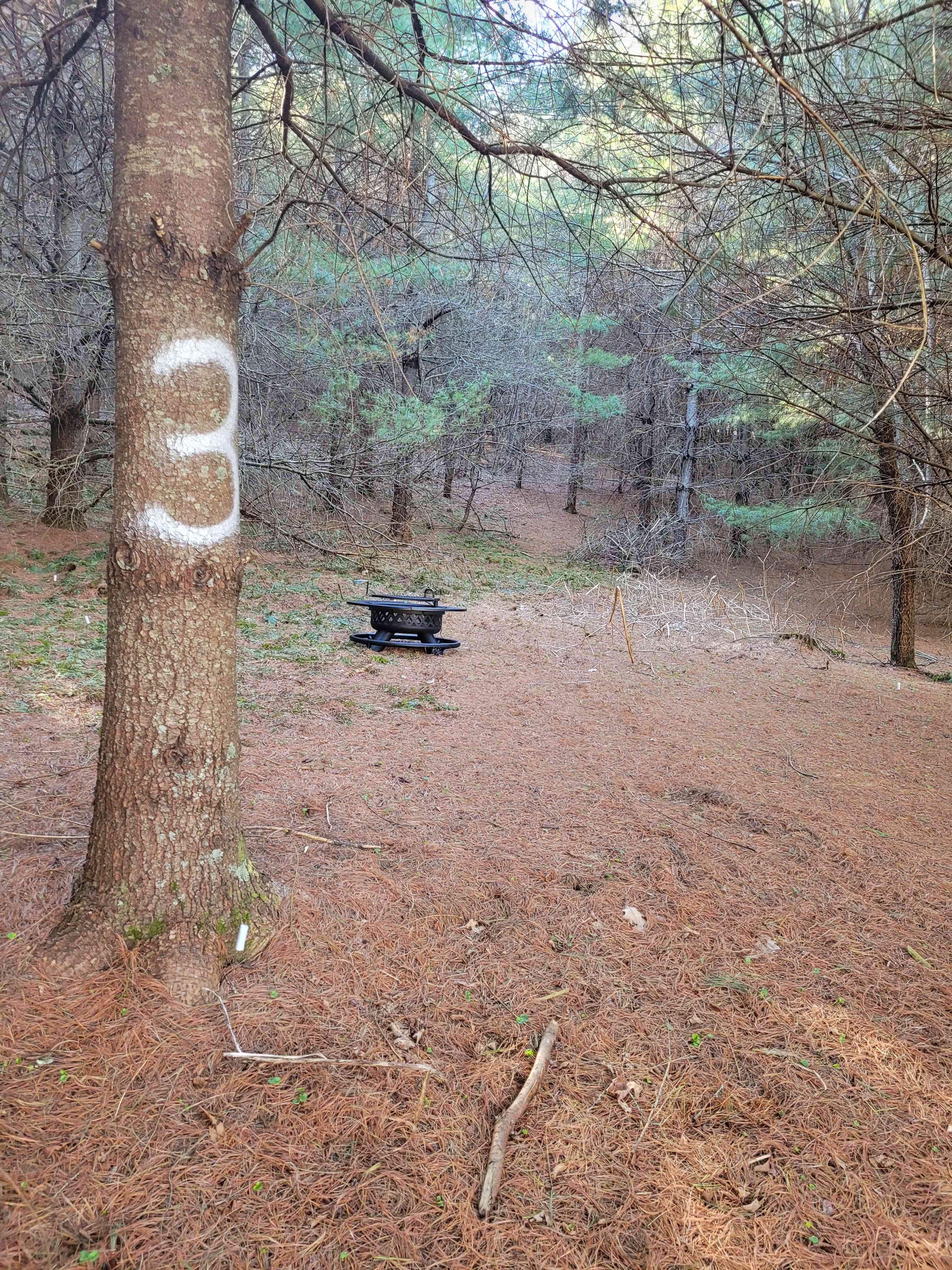 Picture of the site