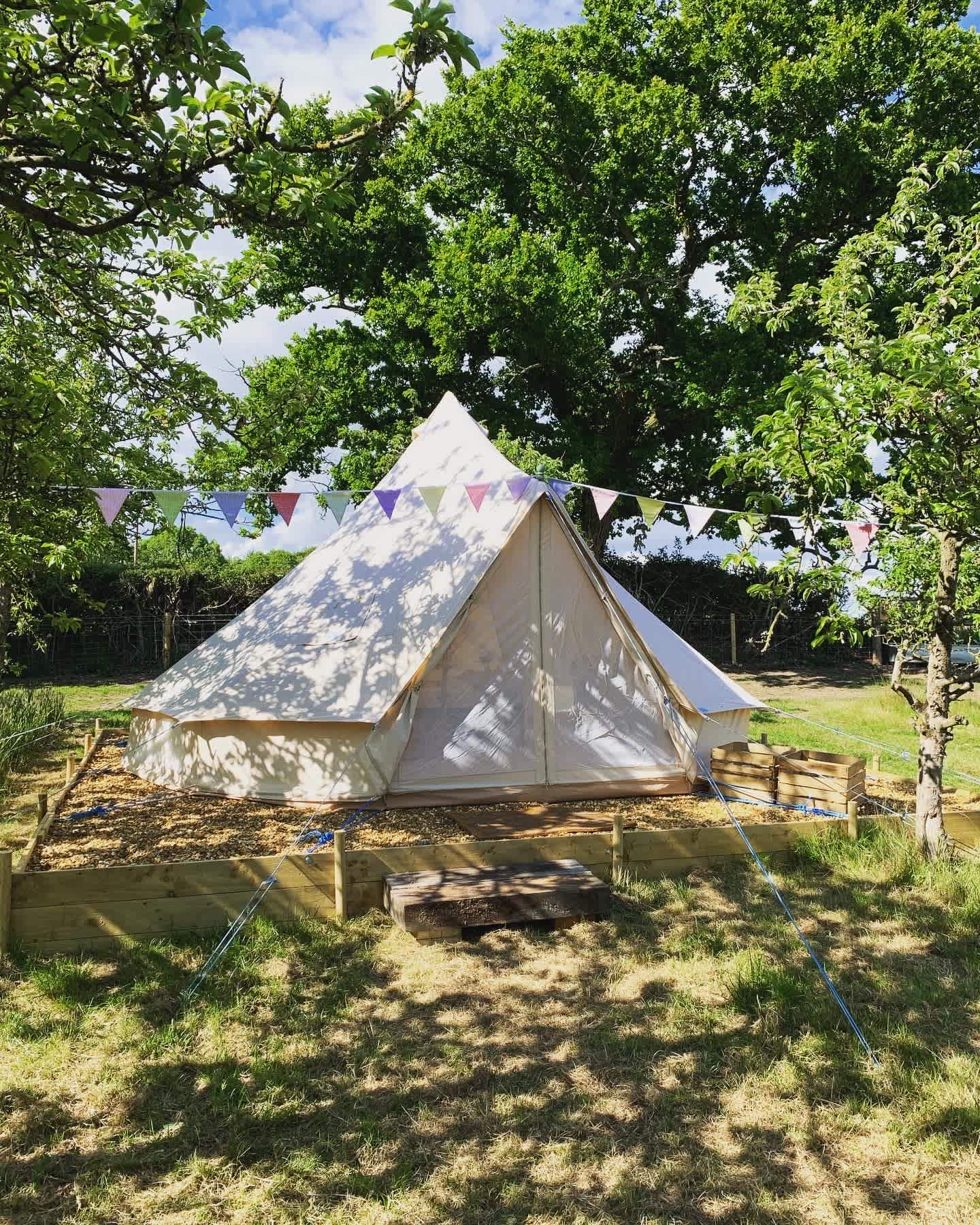 The bell tents are nestled in amongst the orchard trees