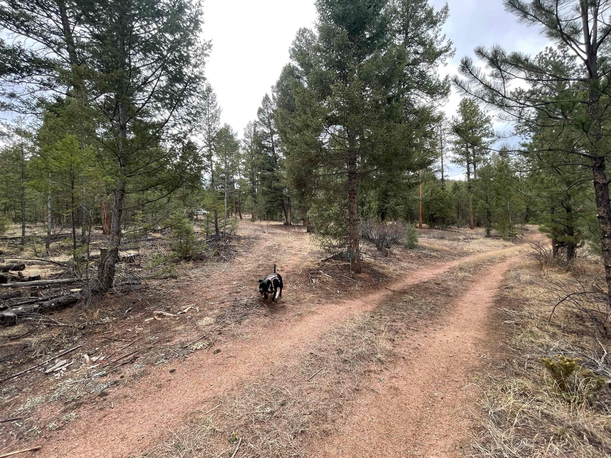 Serenity in the Foothills