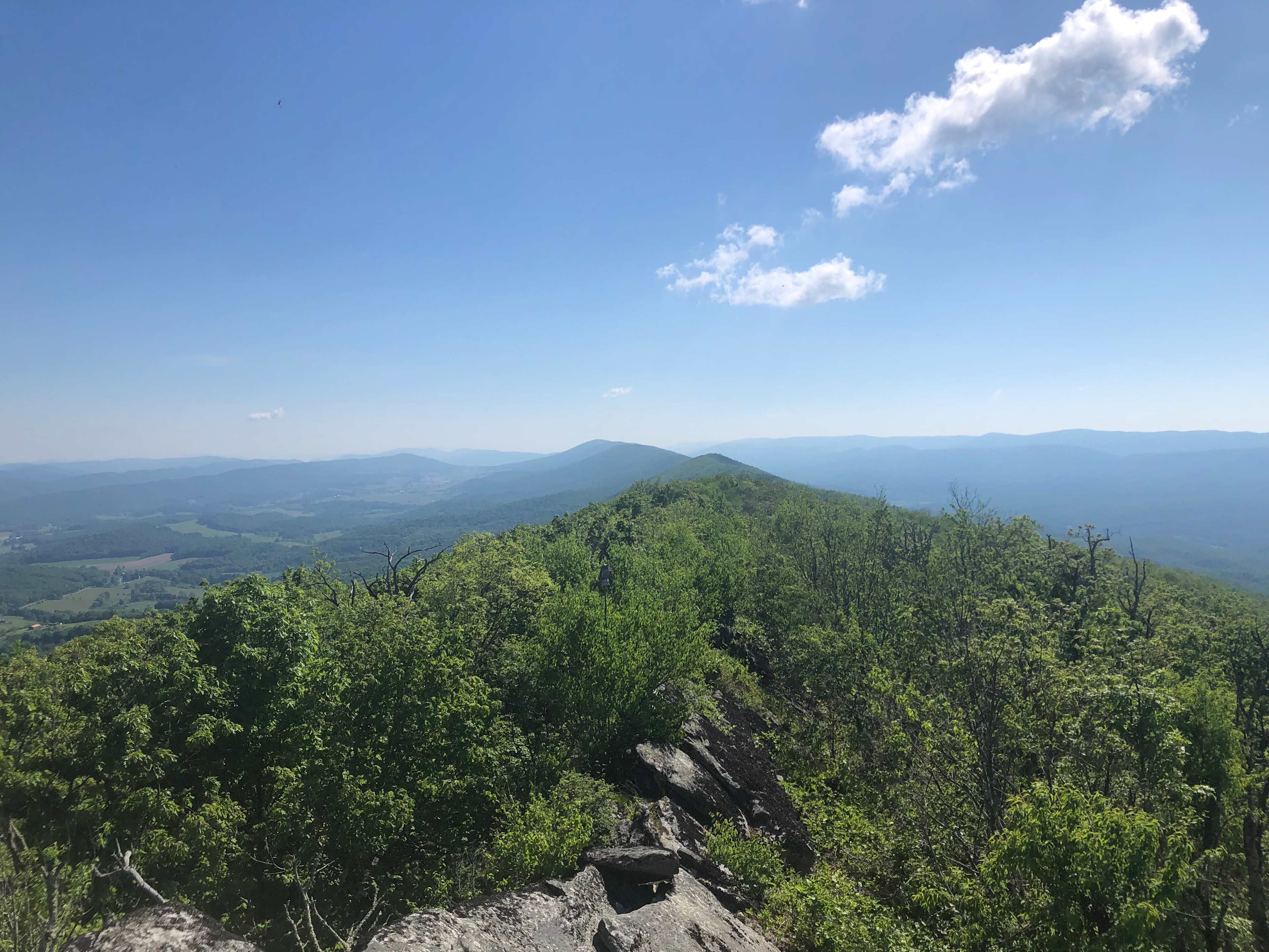Peters Mountain Farm