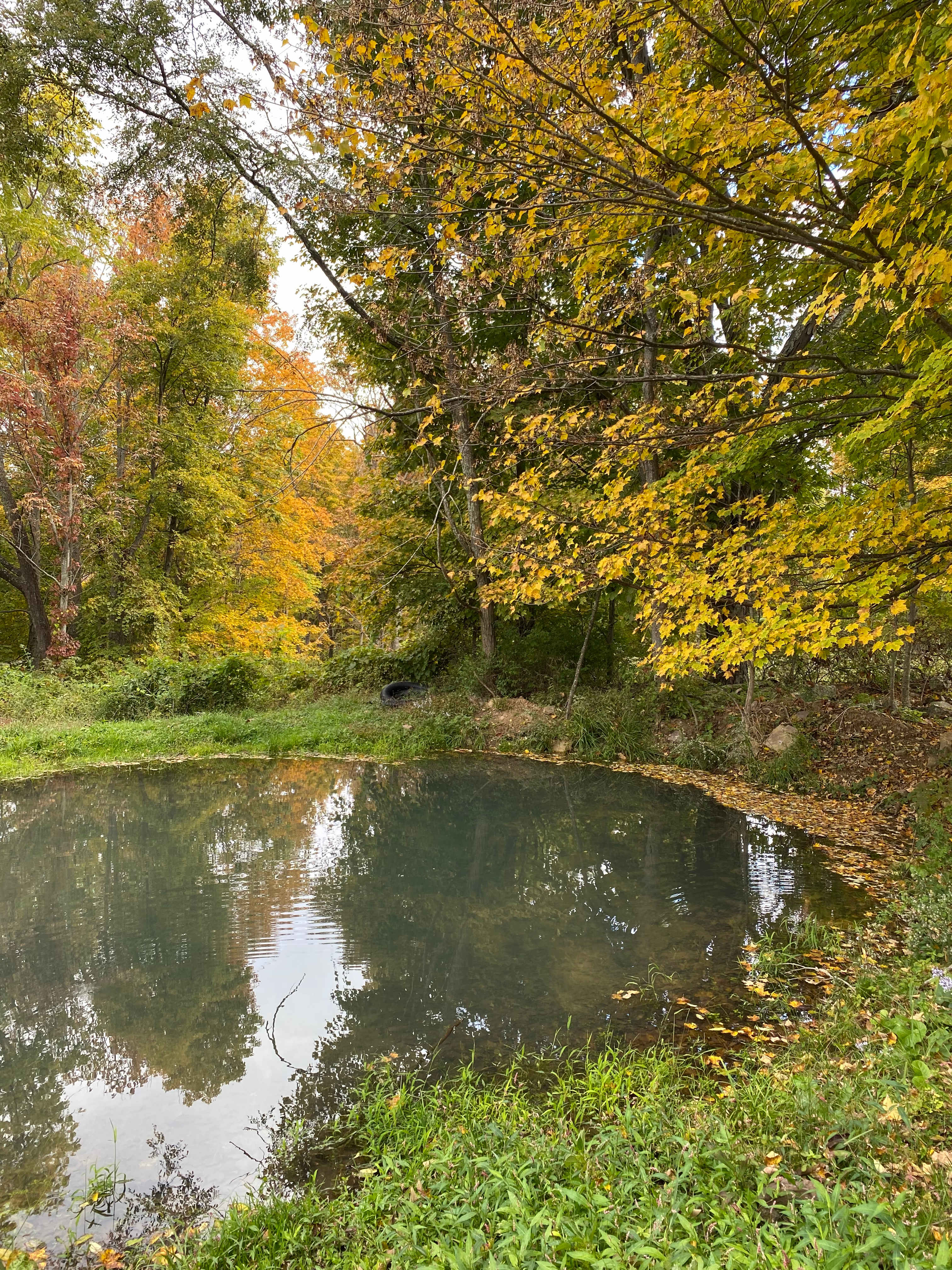 Peters Mountain Farm