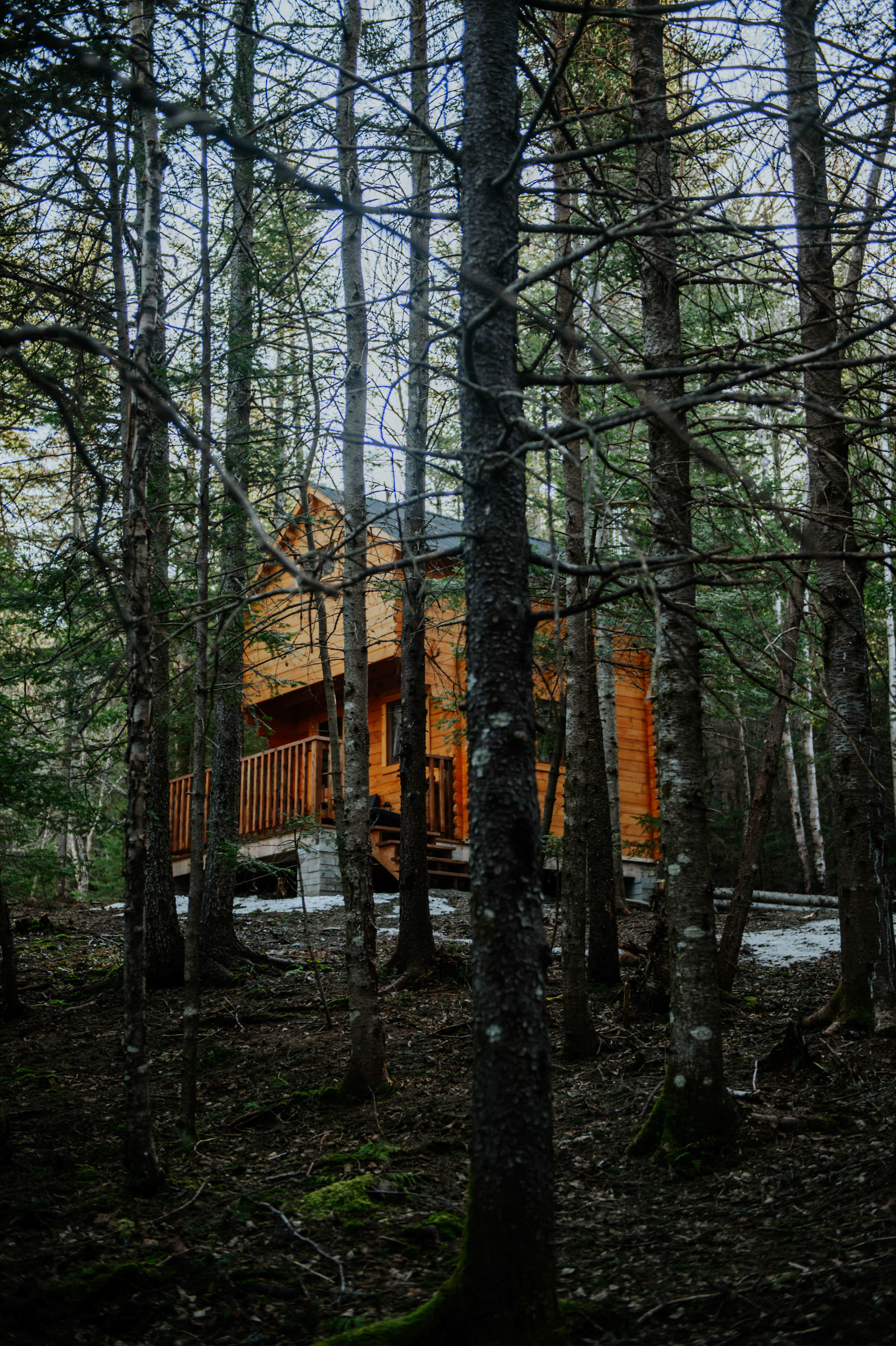 La Belle Cabane
