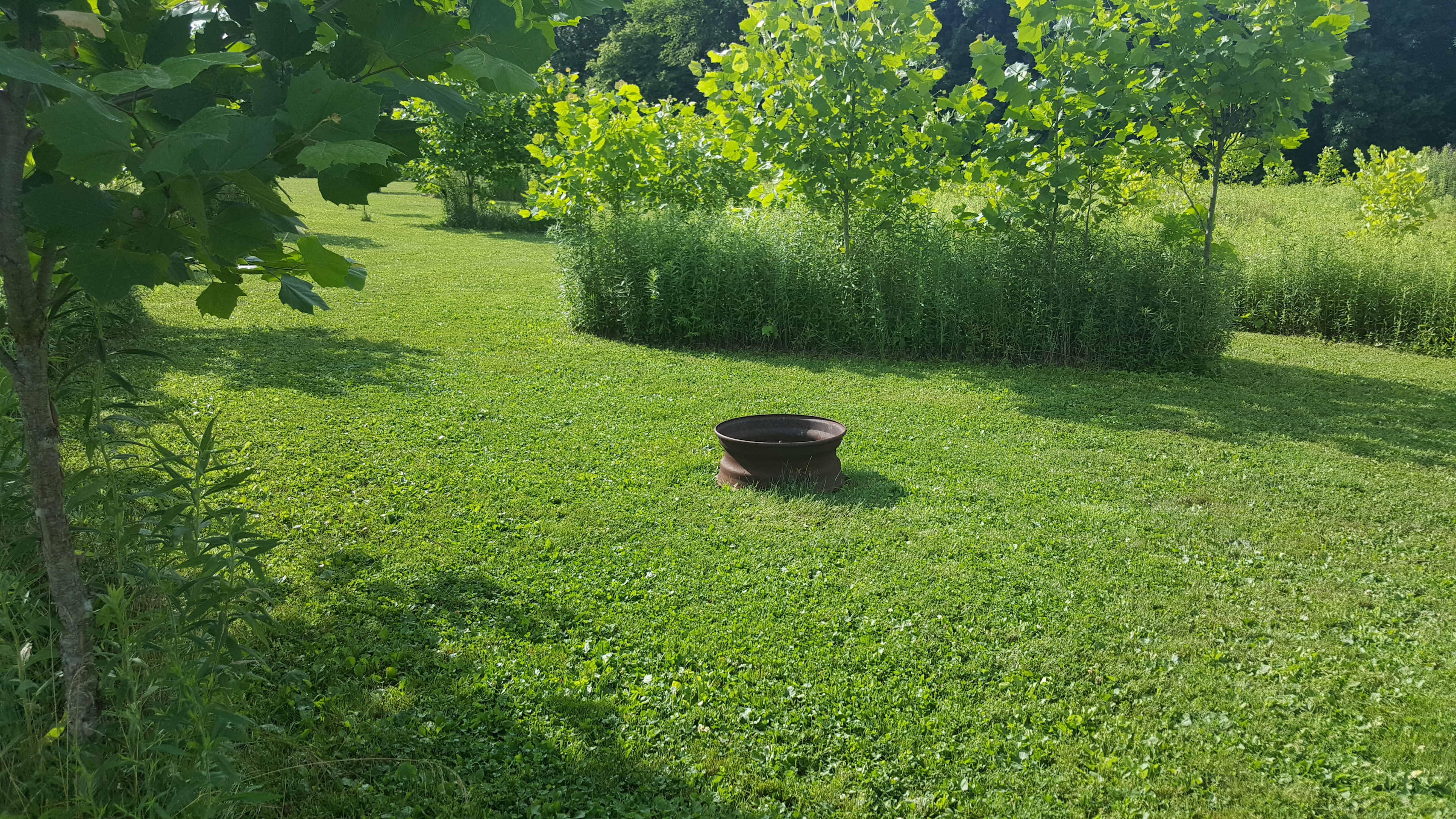 Grins & Pickin's CampFarm