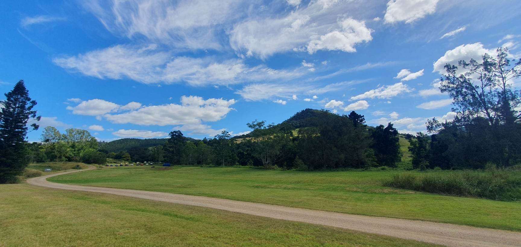 Bunya Grove