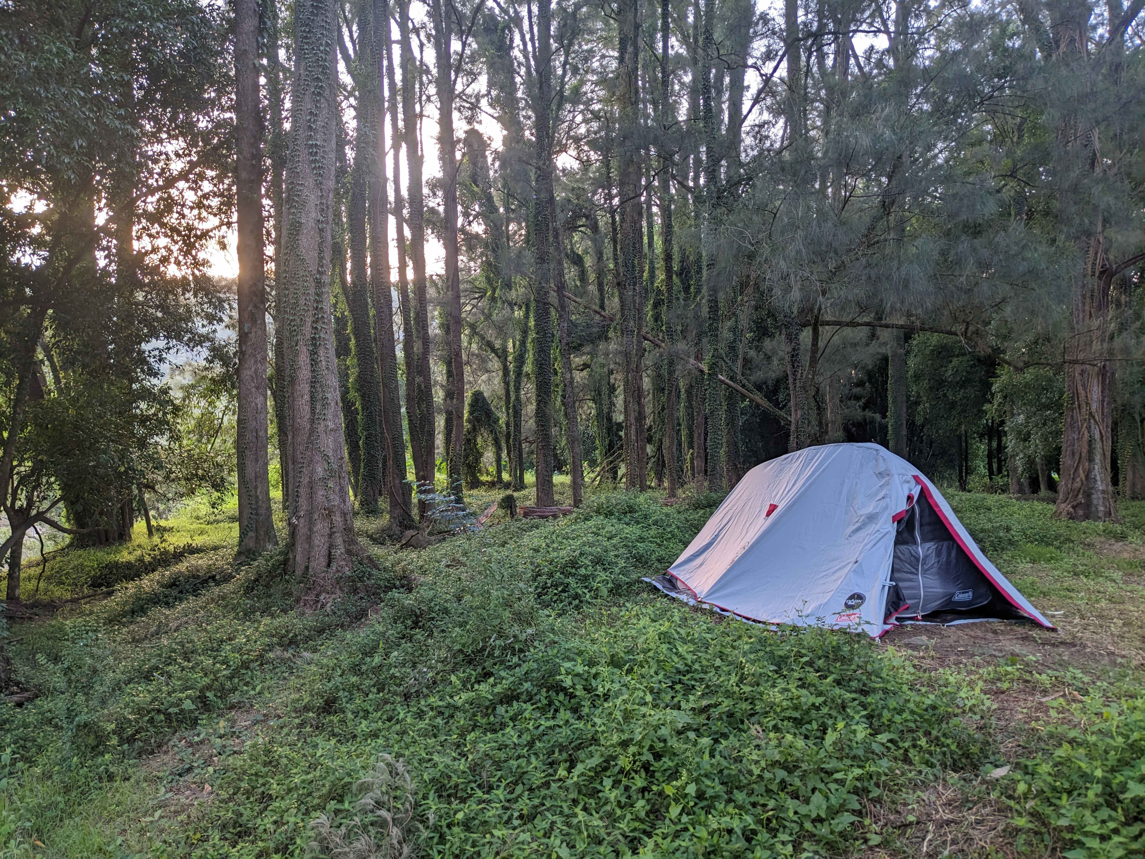 Dungog Horseshoe Camp