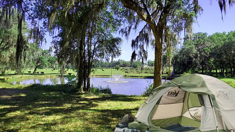 Site 3 view, shade and sun