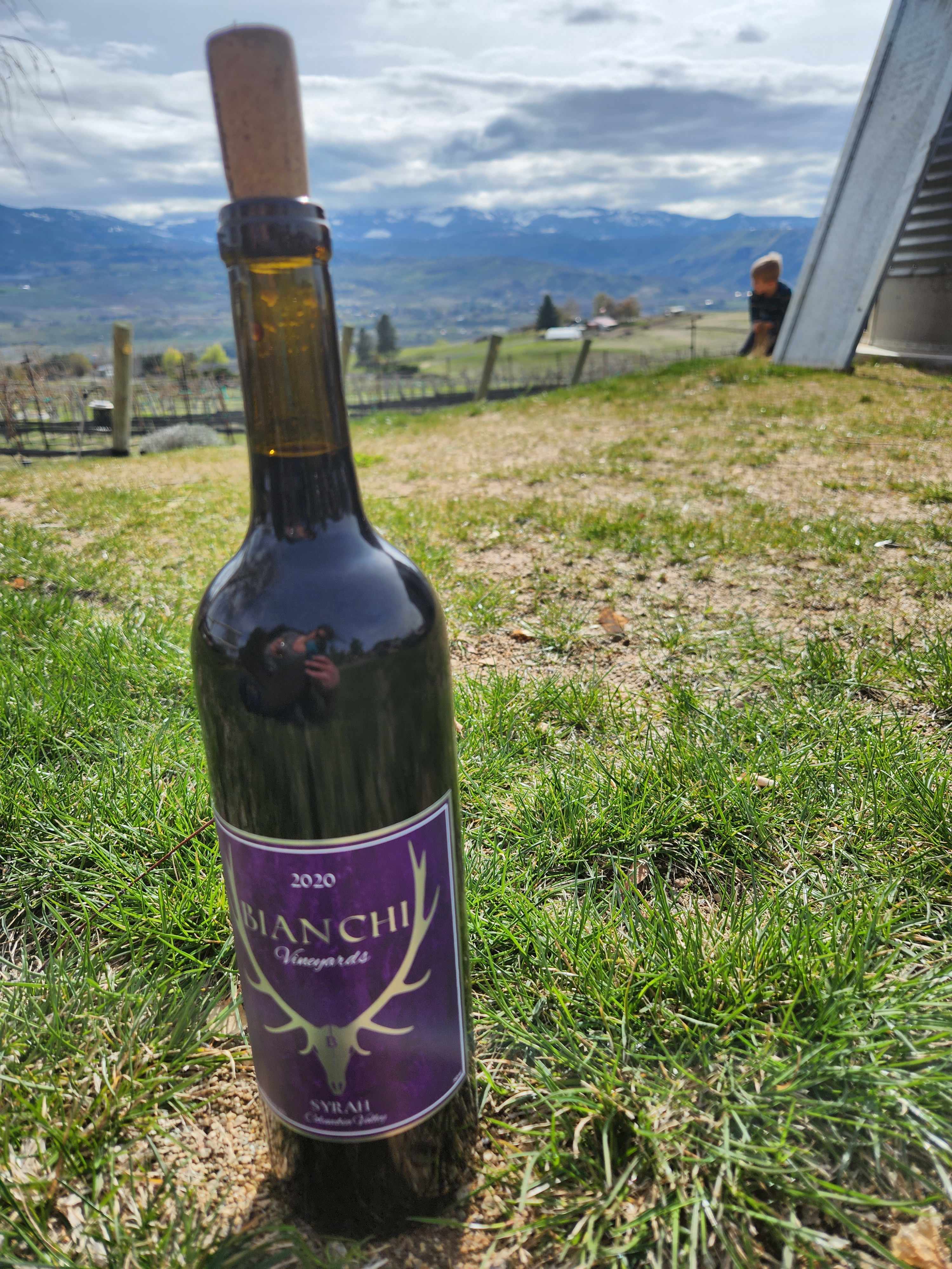 A great bottle to enjoy in the sunshine