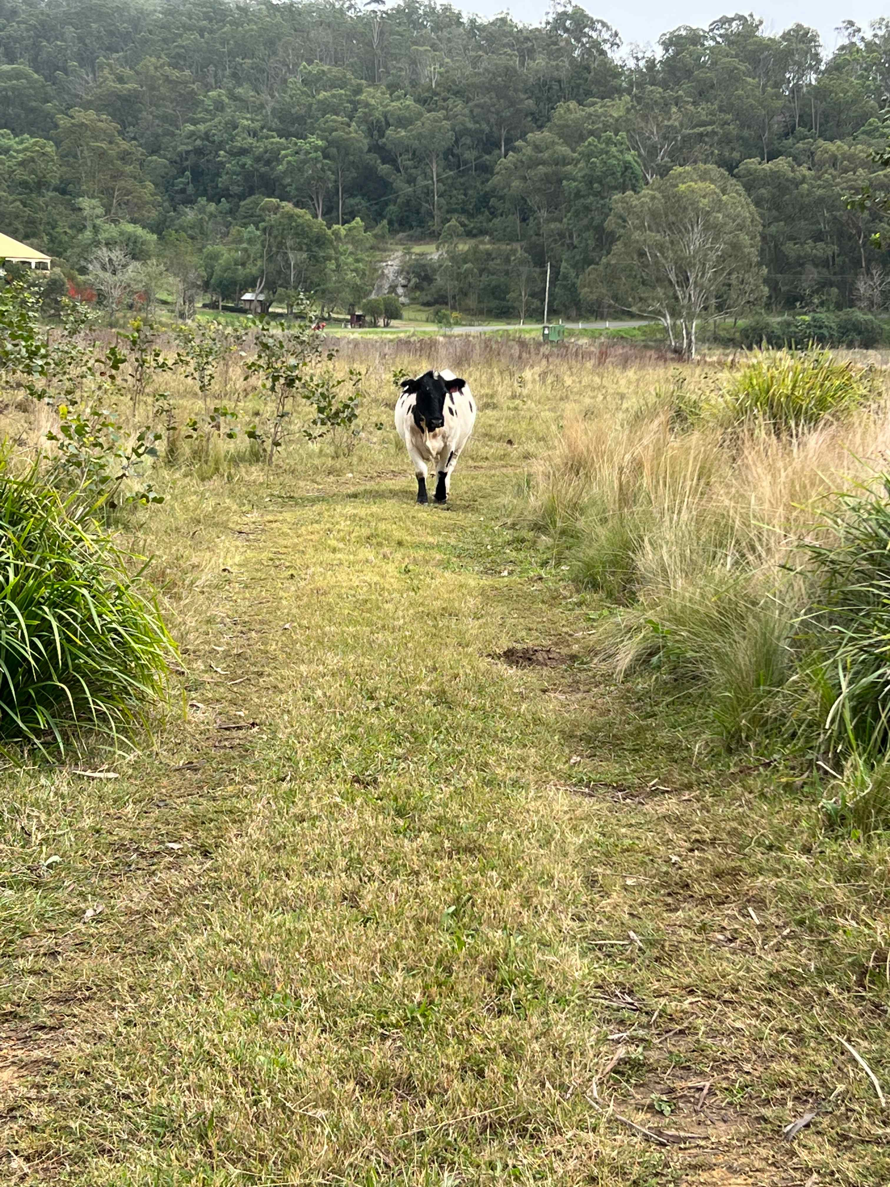 Mulla Villa Farm