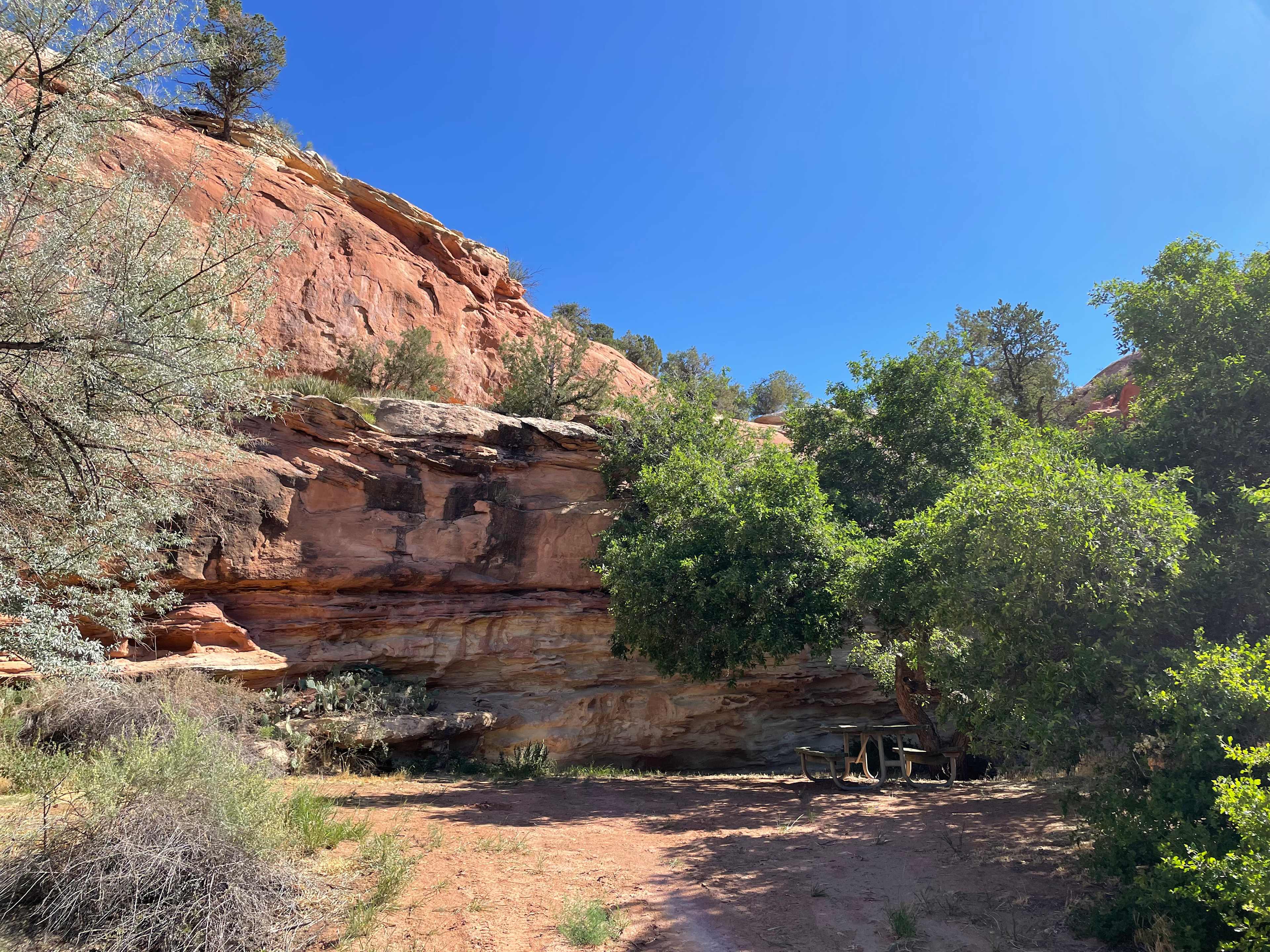 The Pour Over - one of our campsites tucked into the cliff with a waterfall just beyond the picnic table when we get a good desert rain. 