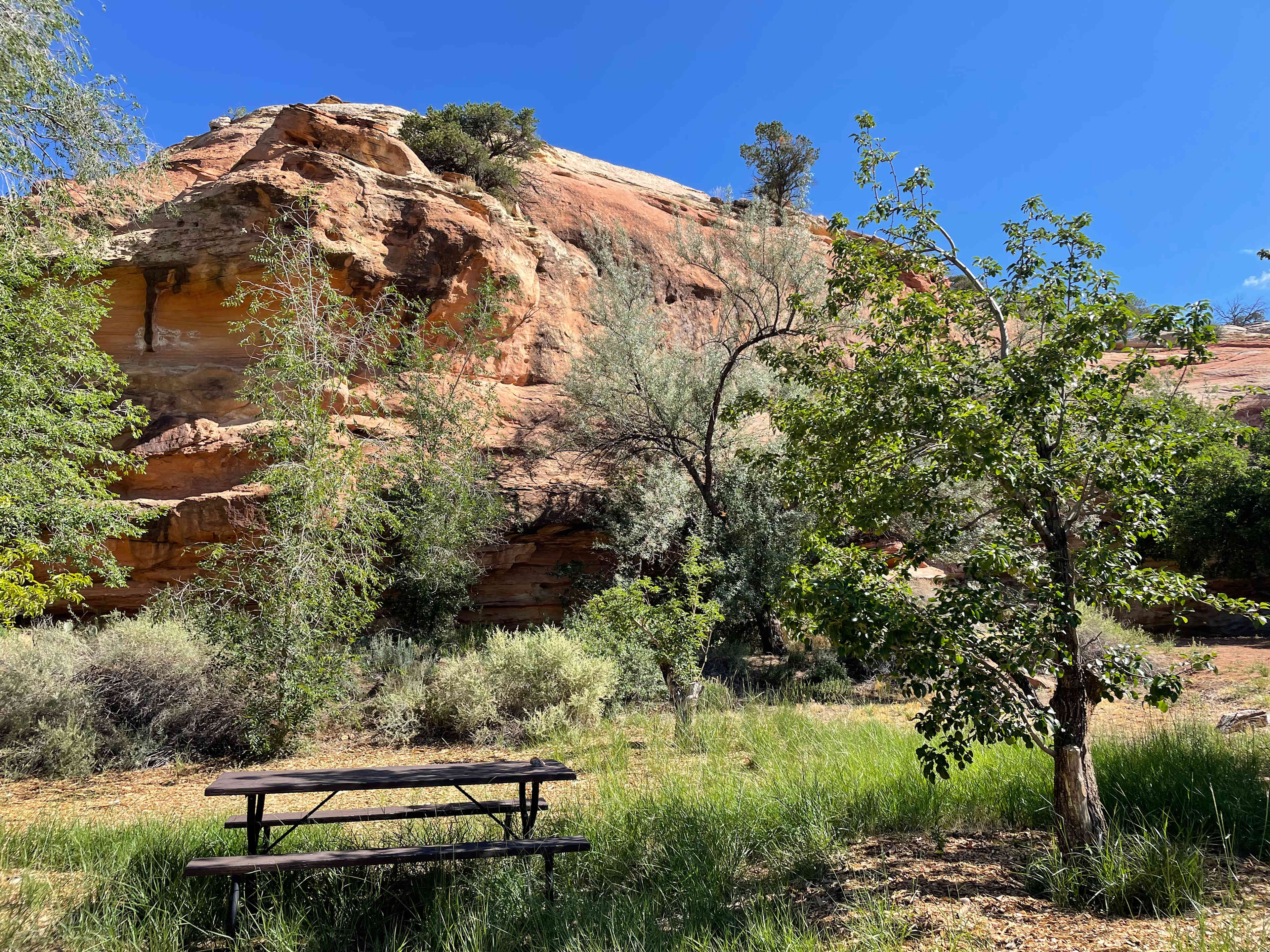 Anasazi Sites @ Ancient Echoes
