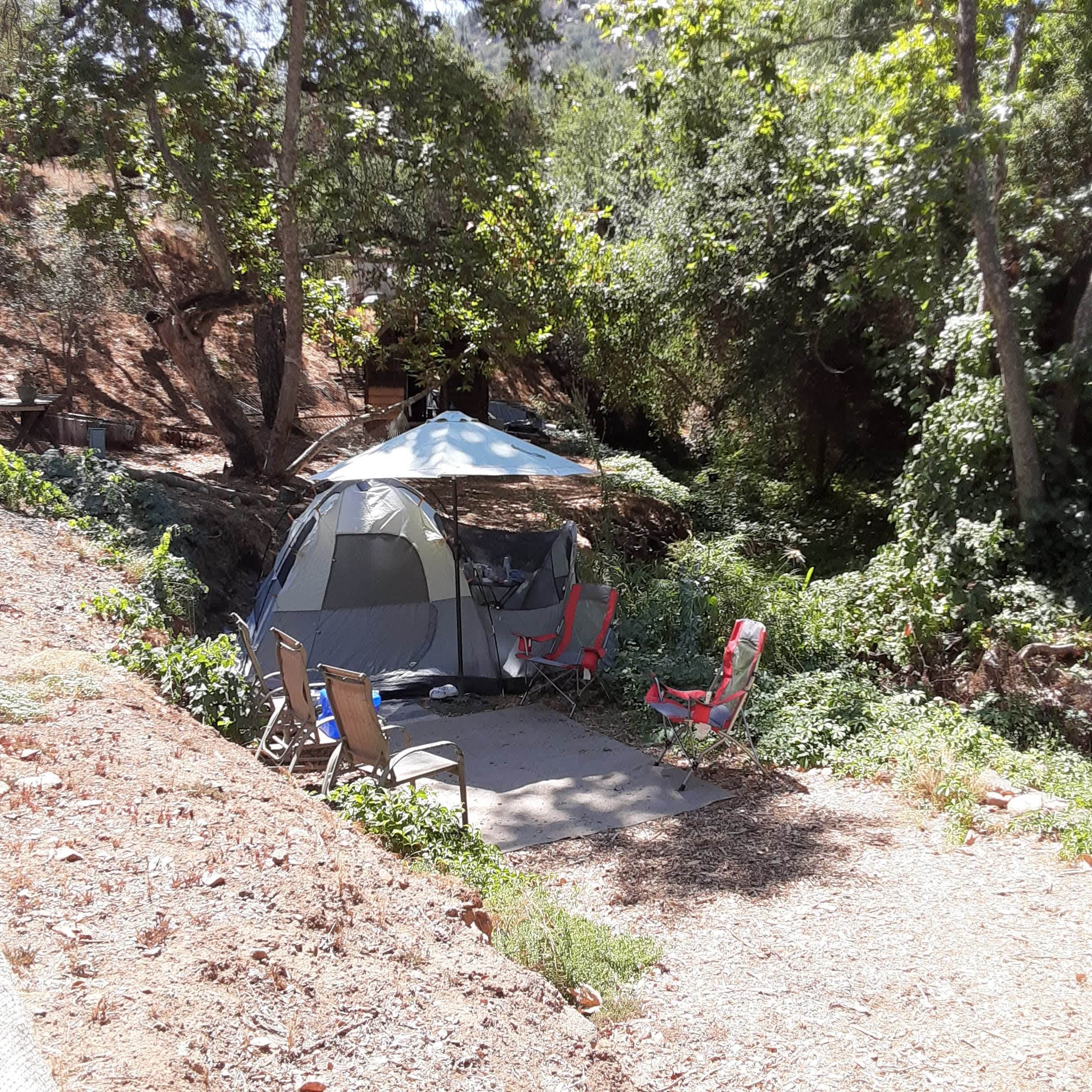 Creek side campsite