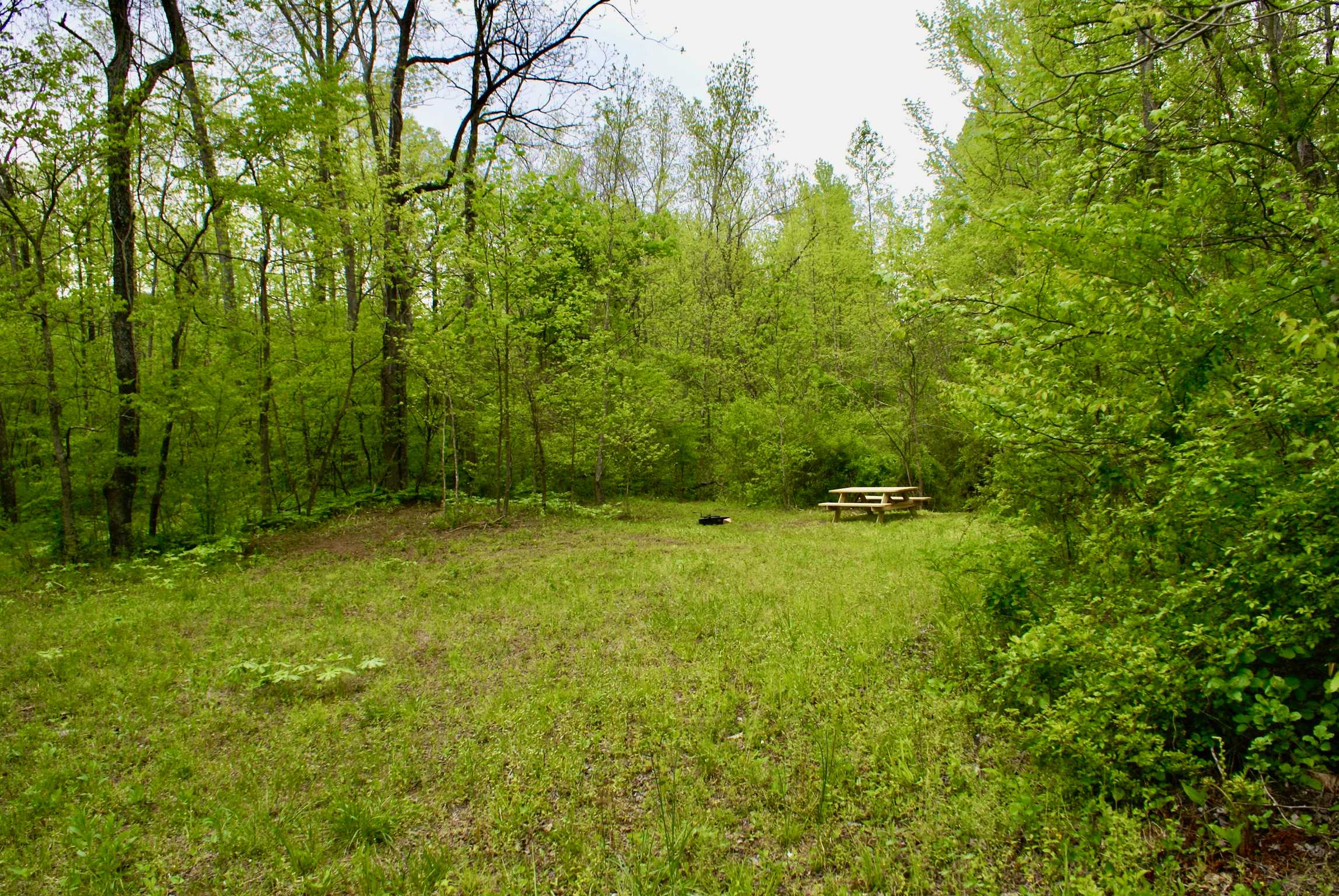 TangleWood Creekside Campsites