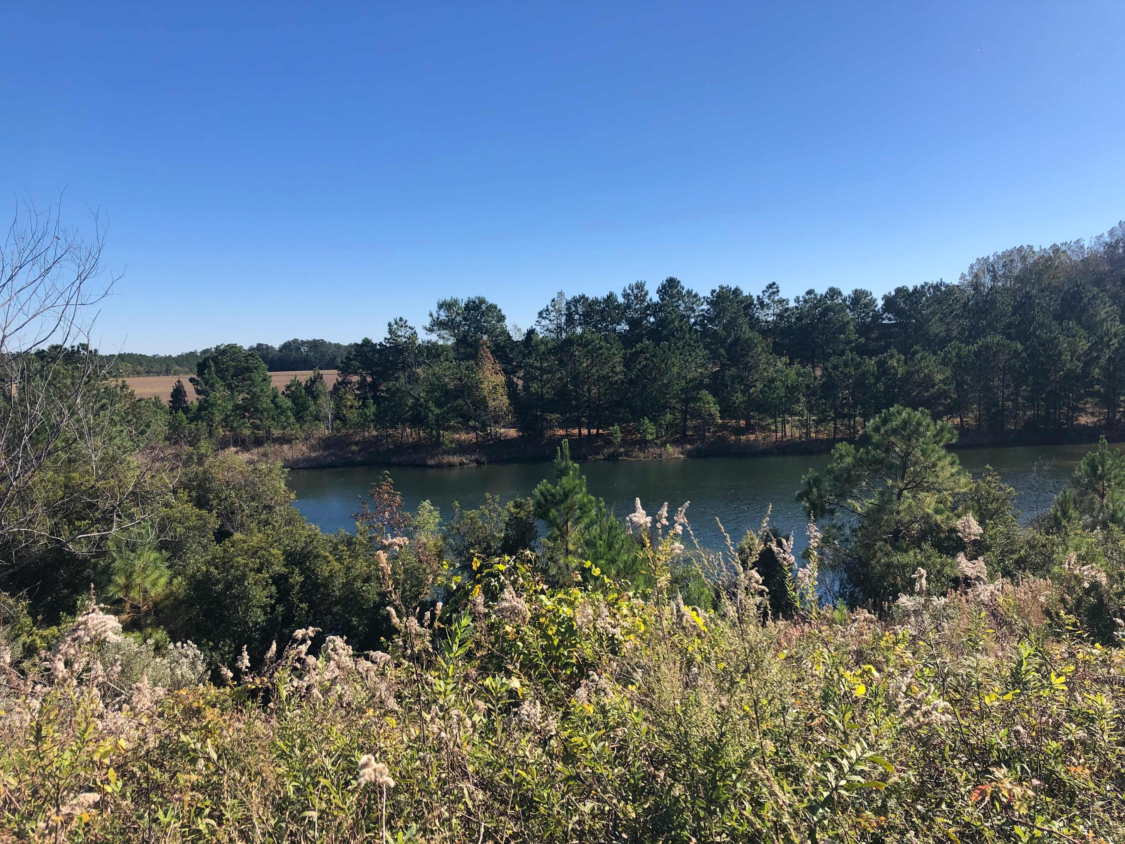 Pasture Creek Farms