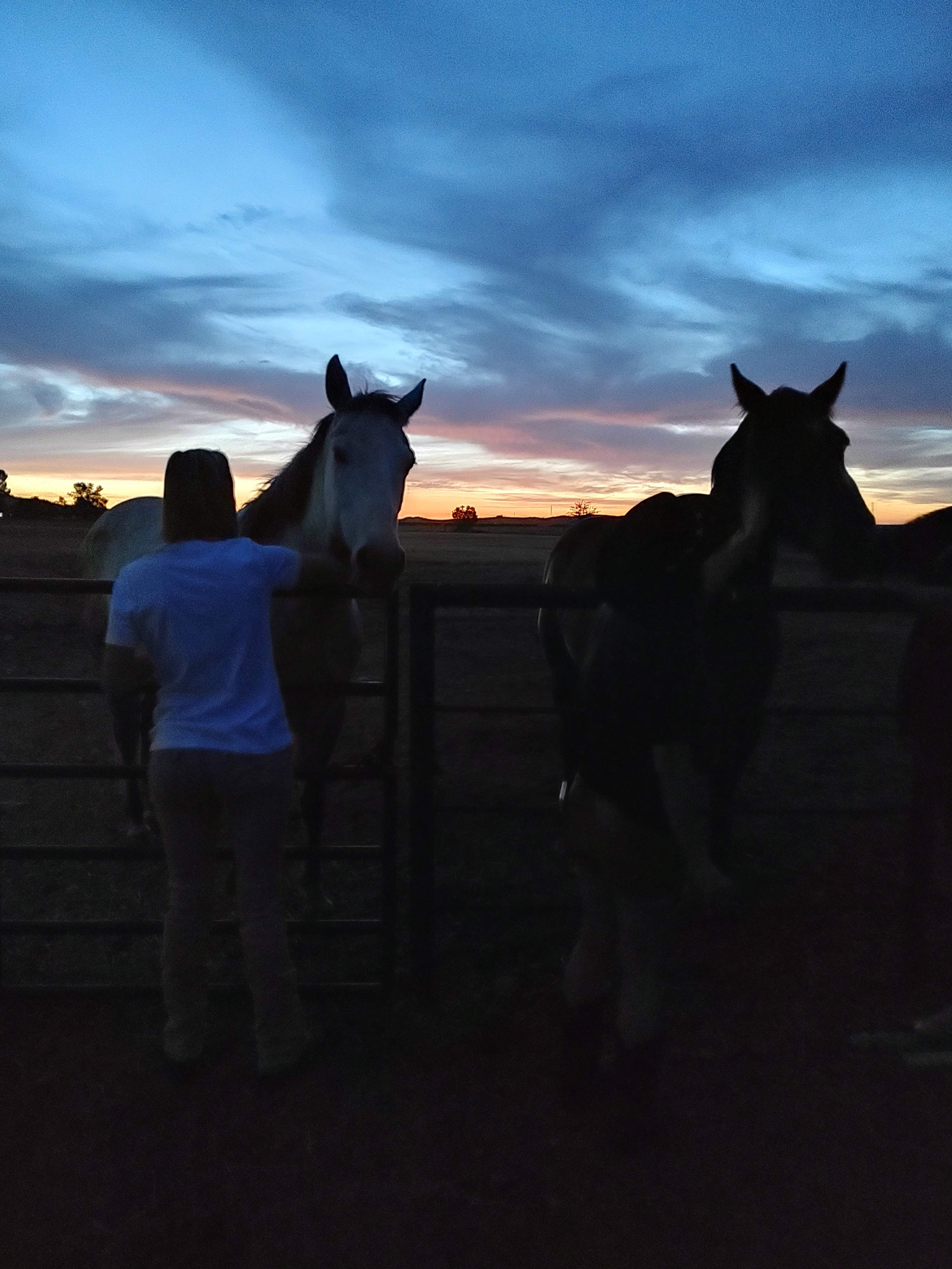 Camp Tule Elk