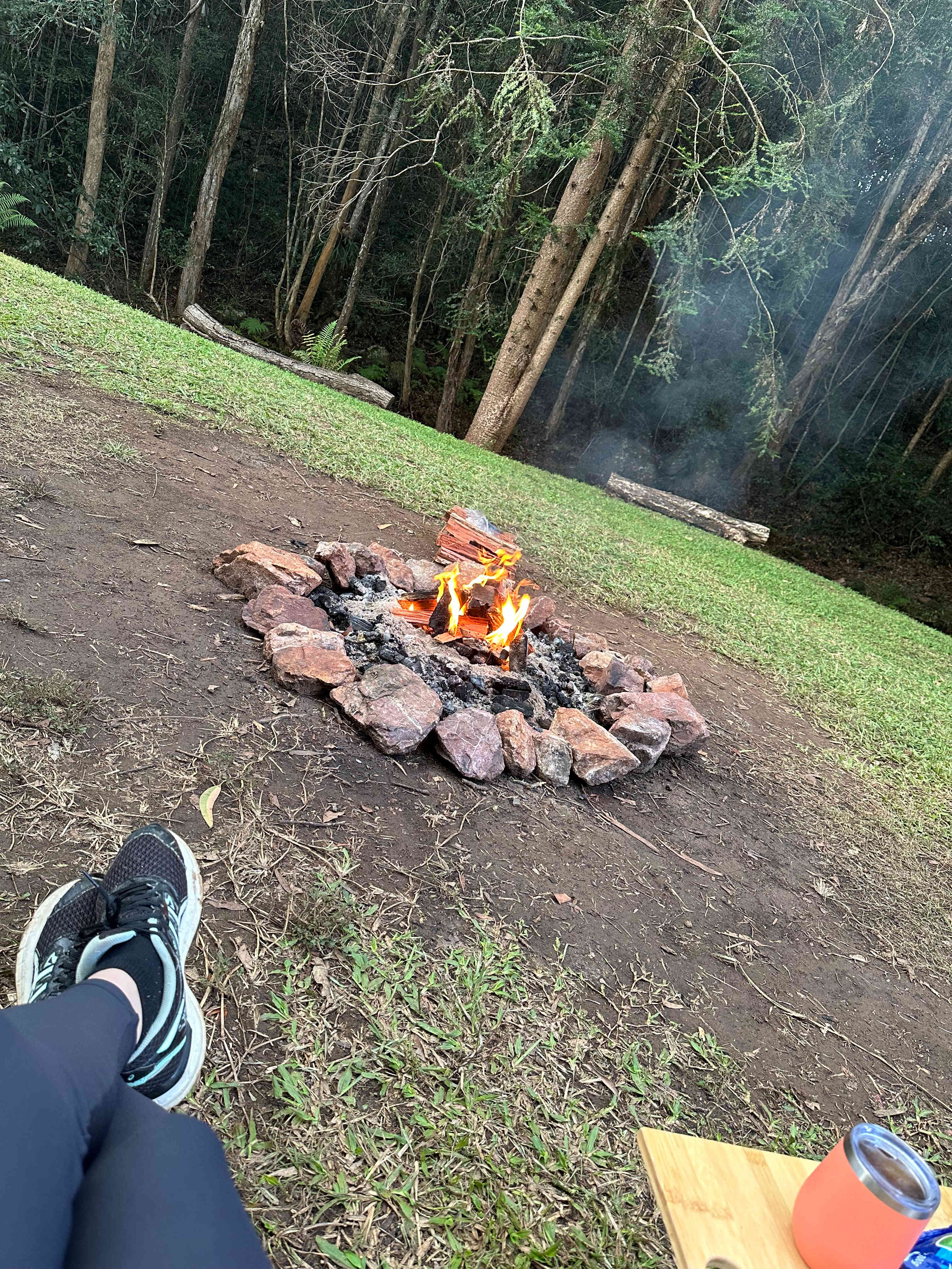 Bunya Grove