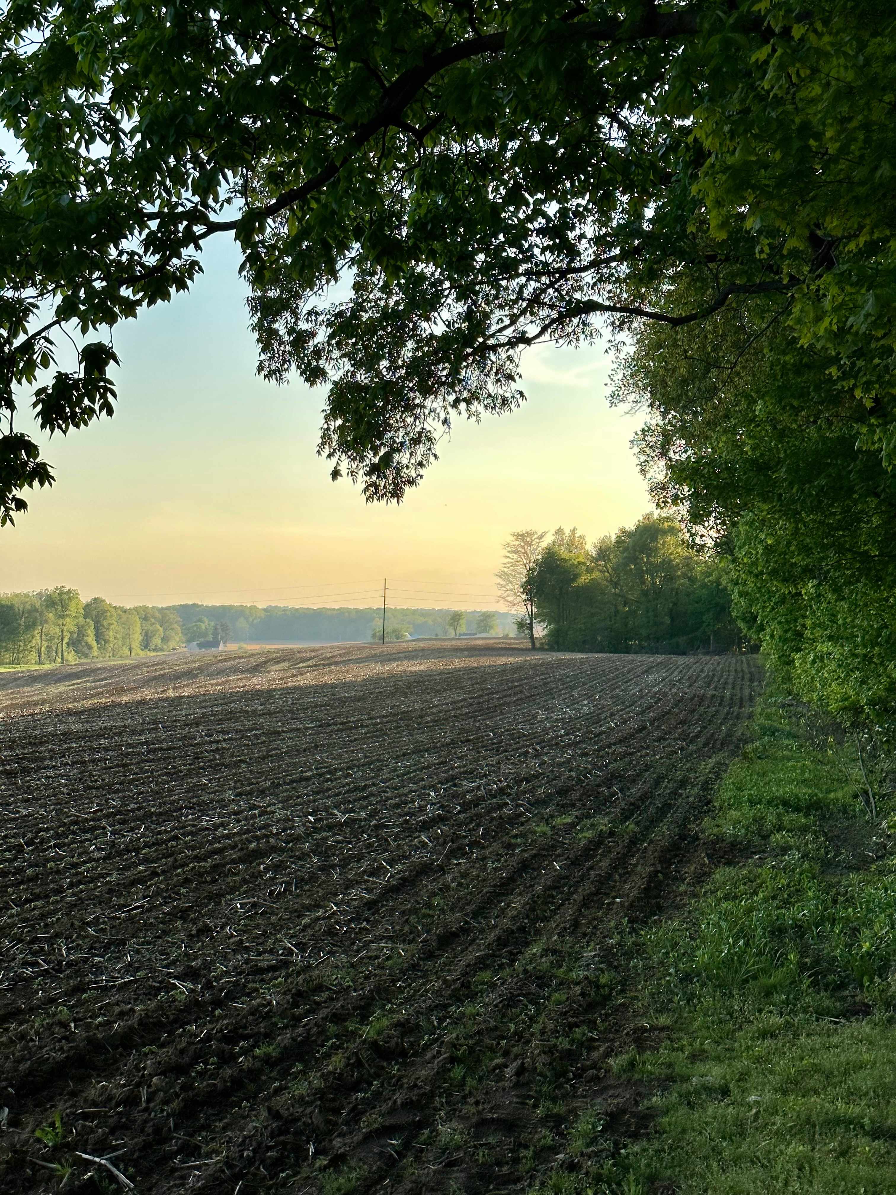 Farm views on the trail