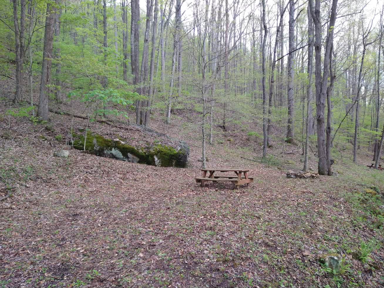 Plumtree Campground Tents & Cabins
