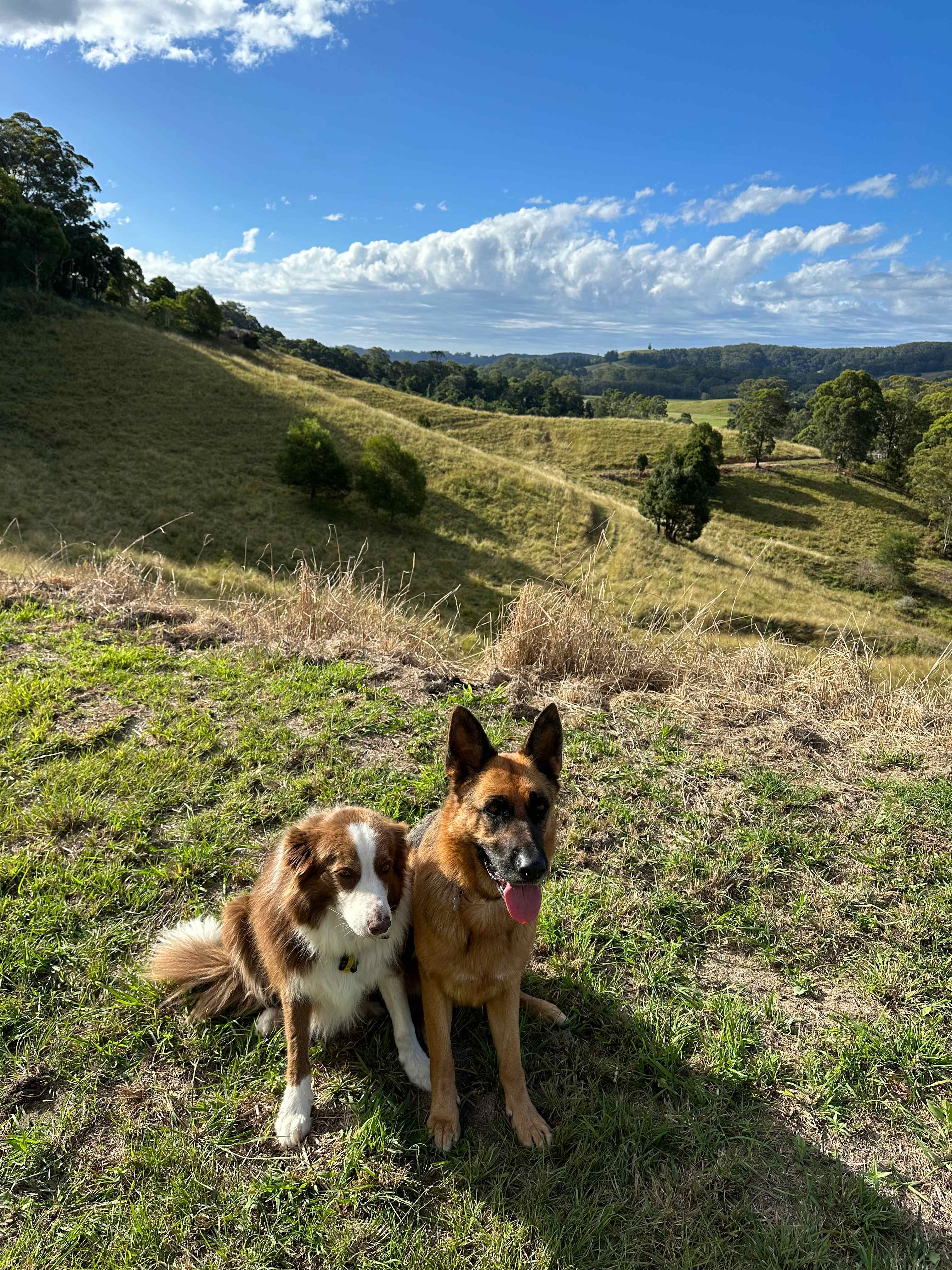 Keltara Camping