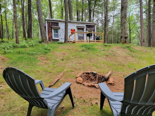 "Chipmunk Chalet was the perfect cute and cozy basecamp for a weekend of hiking and mountain biking. Everything was as described and Joni was great to communicate with" - Laura (April 2025)