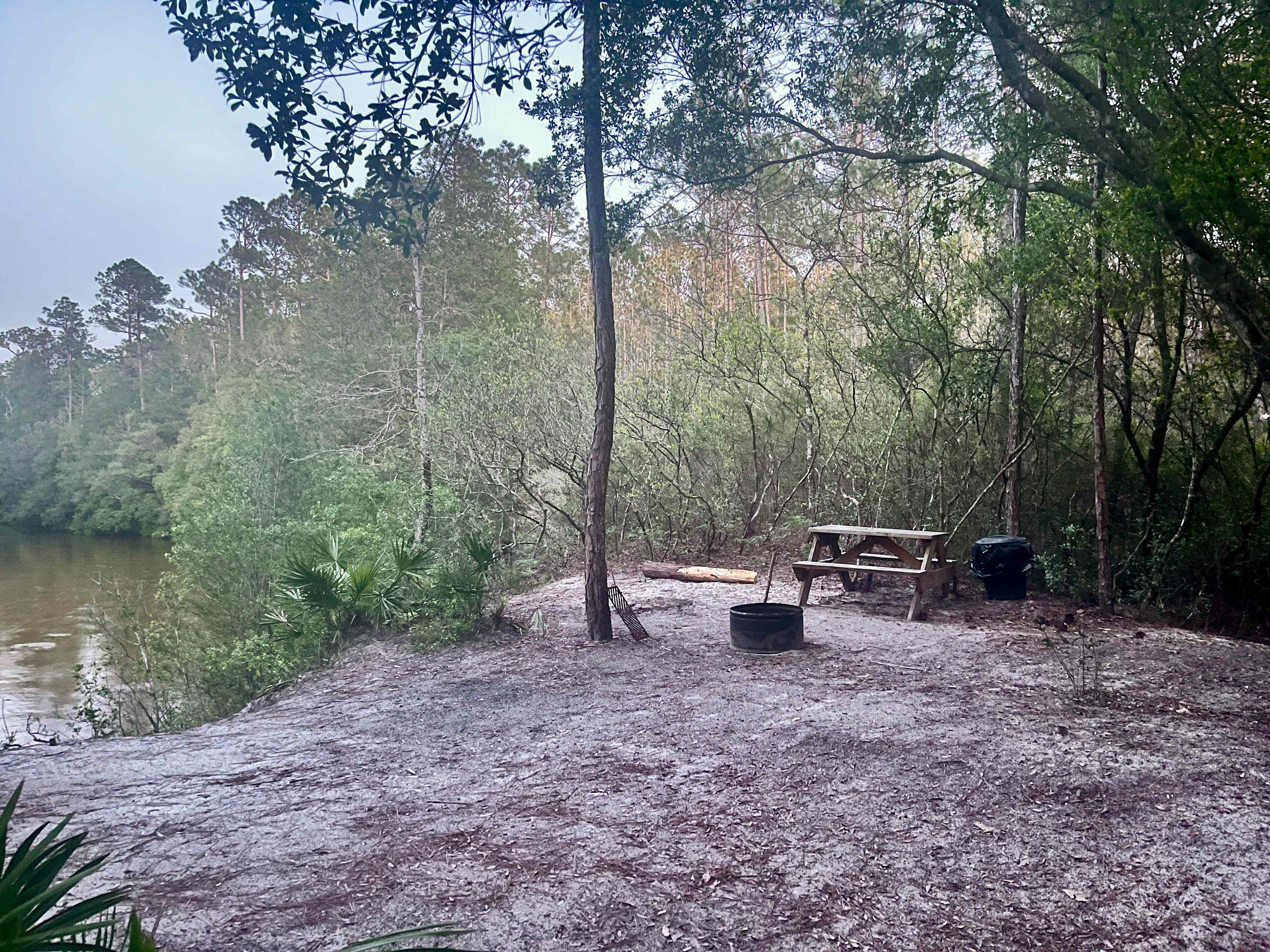 The Wandering Path
