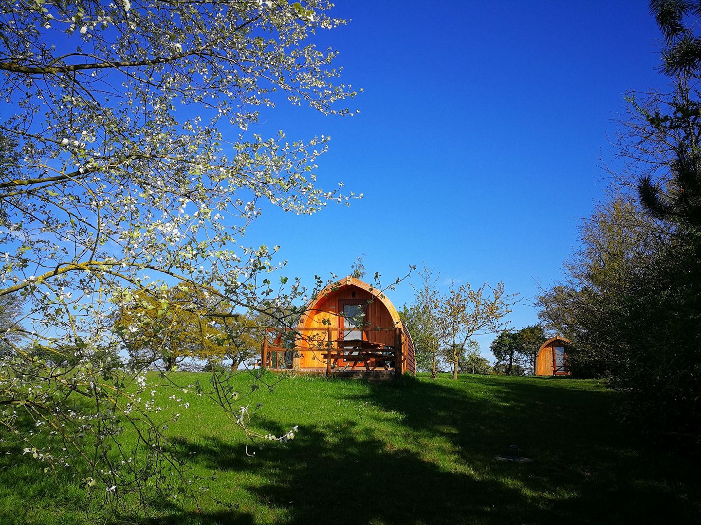 Cosy Camping Suffolk